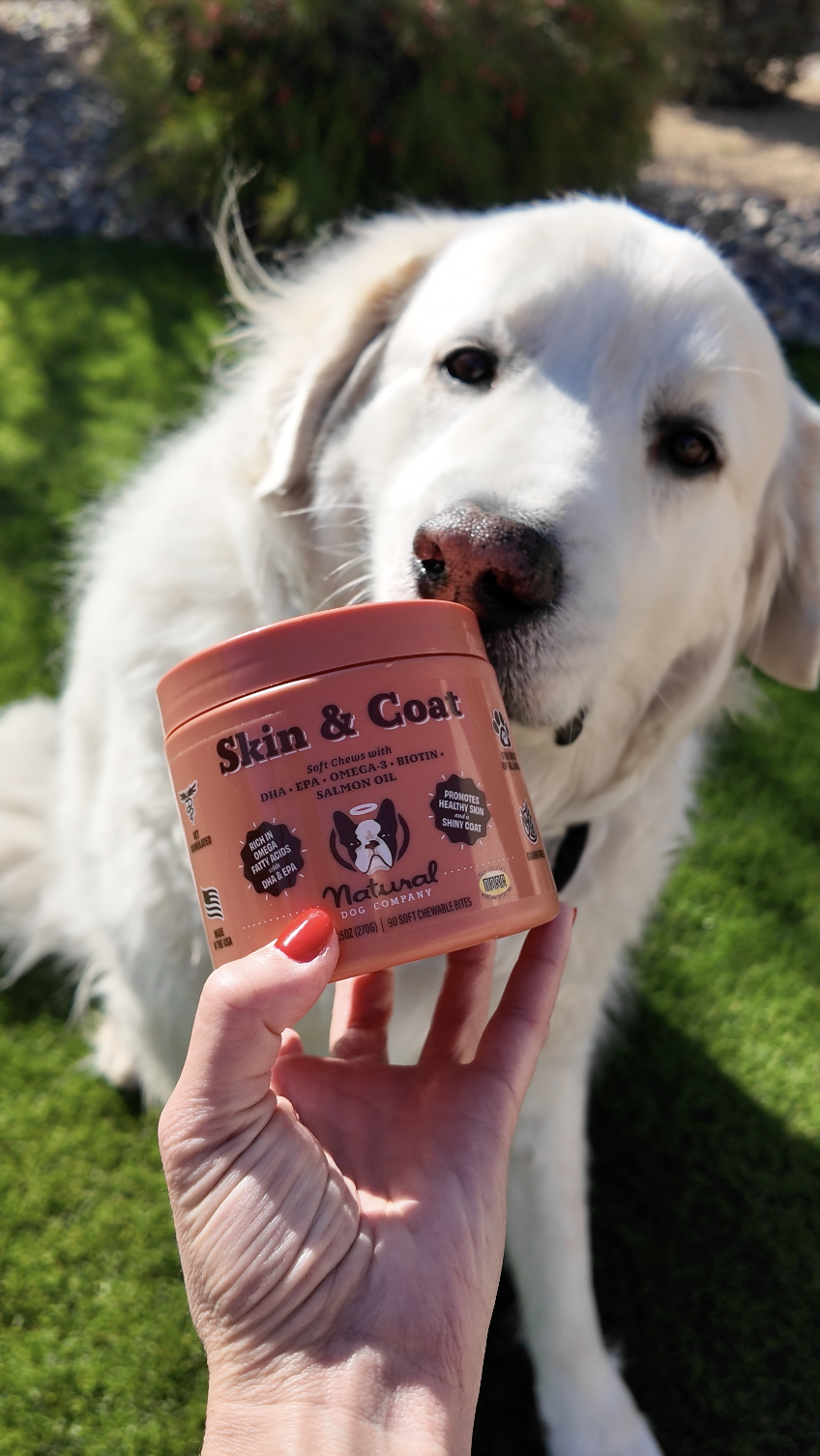 Natural Dog Theo.png