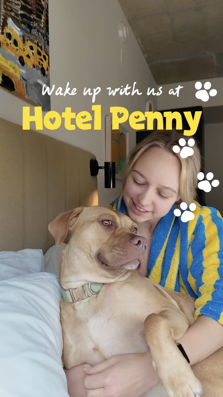 Hotel Penny New York