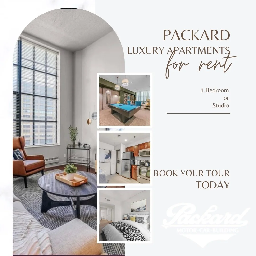 Elevate your everyday at Packard ✨

Modern finishes, spacious layouts, and timeless charm now leasing 1 Bedroom + Studio apartments designed for comfort and style. Whether you&rsquo;re upgrading your space or starting fresh, this is where luxury meet