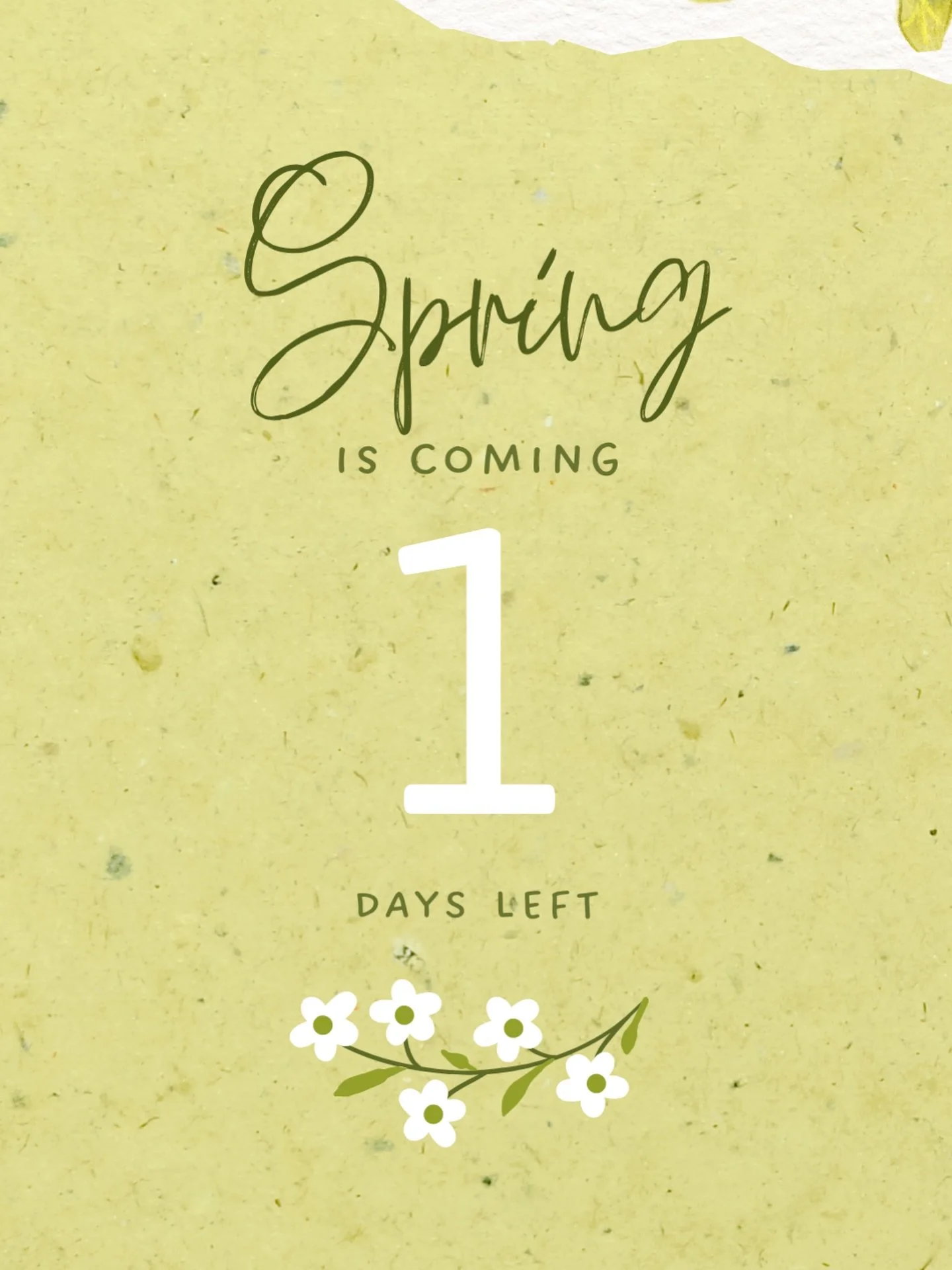 Spring officially hits tomorrow 🌸 Time to soak up the sun, good vibes, and unforgettable nights at Packard. Who&rsquo;s ready for the season of energy and memories?