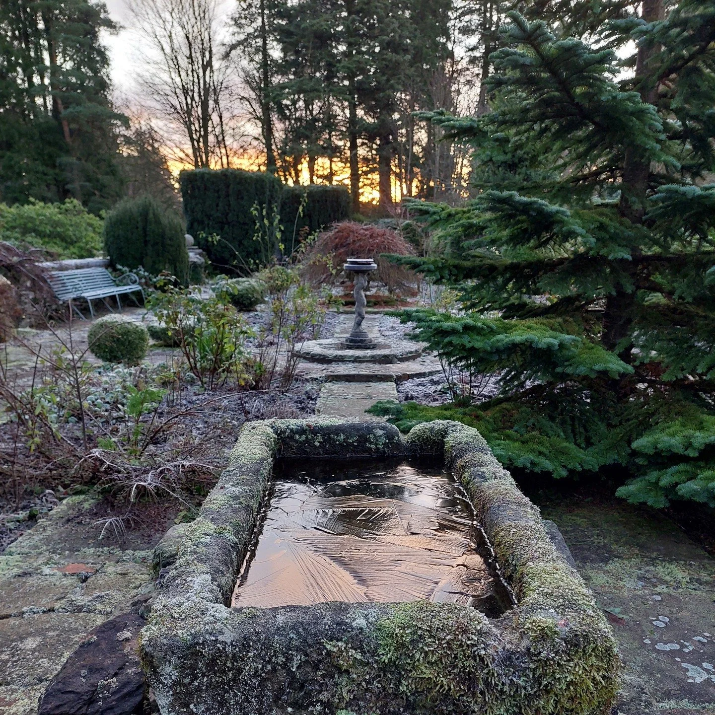 Winter strips back a garden...

It's when you see if its architecture works. Evergreens and materials stand out and need to hold their own. This water feature catches low winter light and creates reflections even when frozen. If you spend half the ye