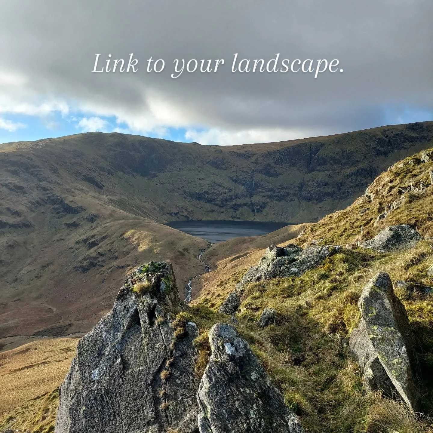 Good gardens feel like they belong where they are. 

There is plenty to consider when designing your garden. Levels, structure, materials, planting. But before looking in, it's helpful to look out. 

Your surroundings will give plenty of clues about 