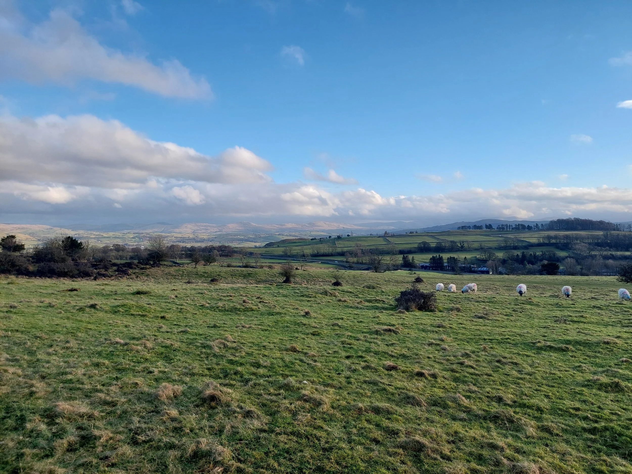 Lakeland Vista Garden, Gt Broughton