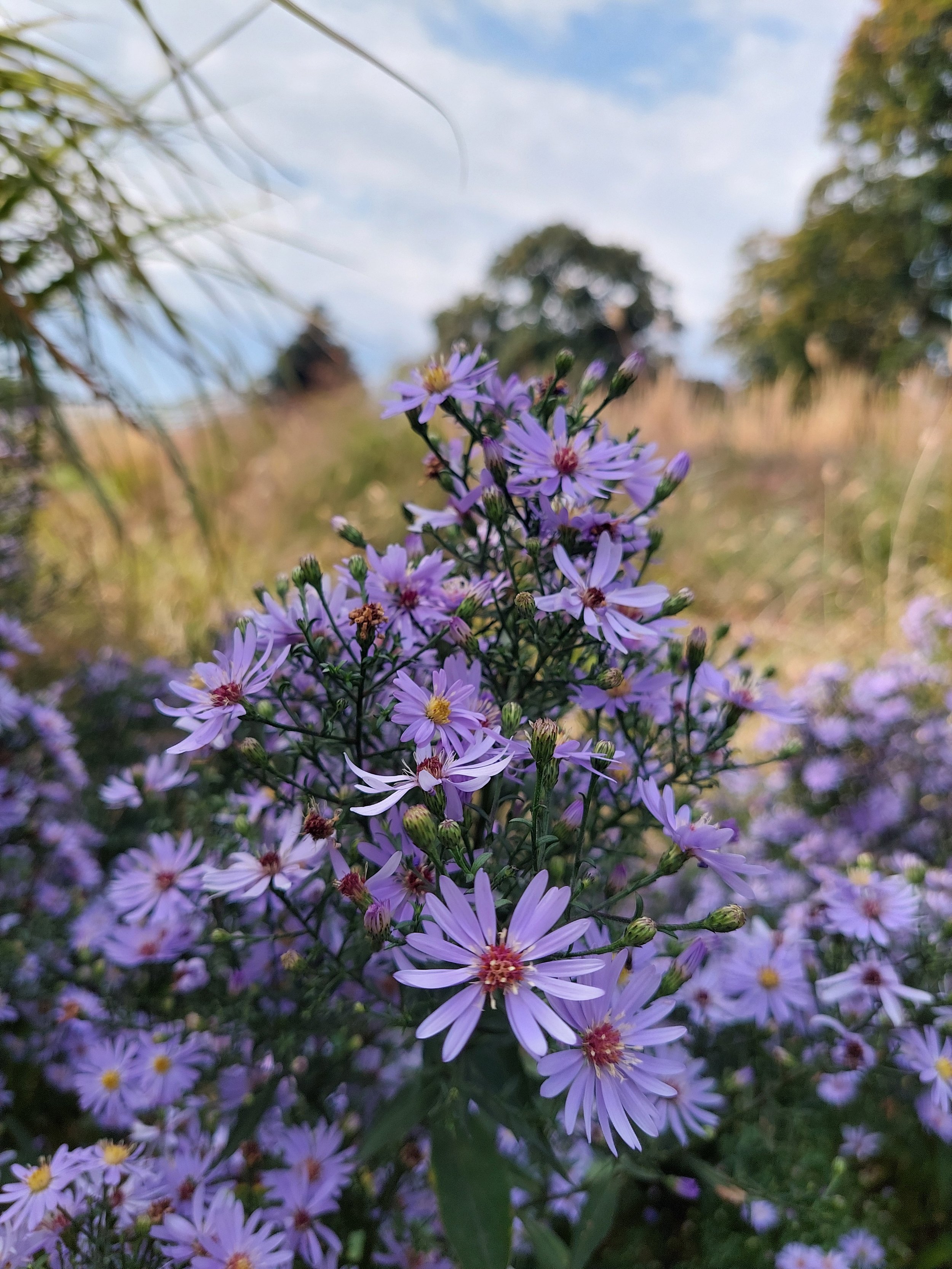 Kew