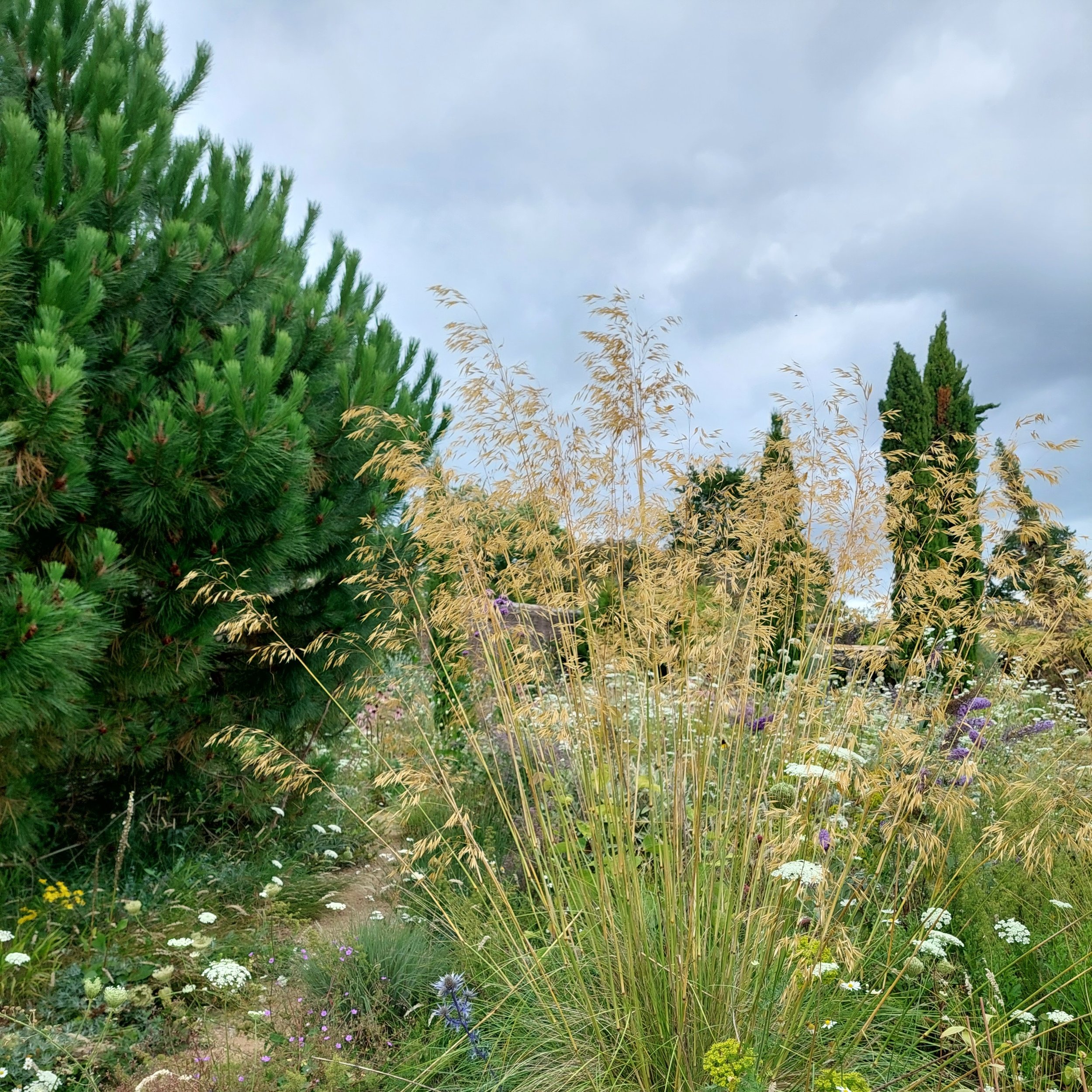 Knepp walled garden