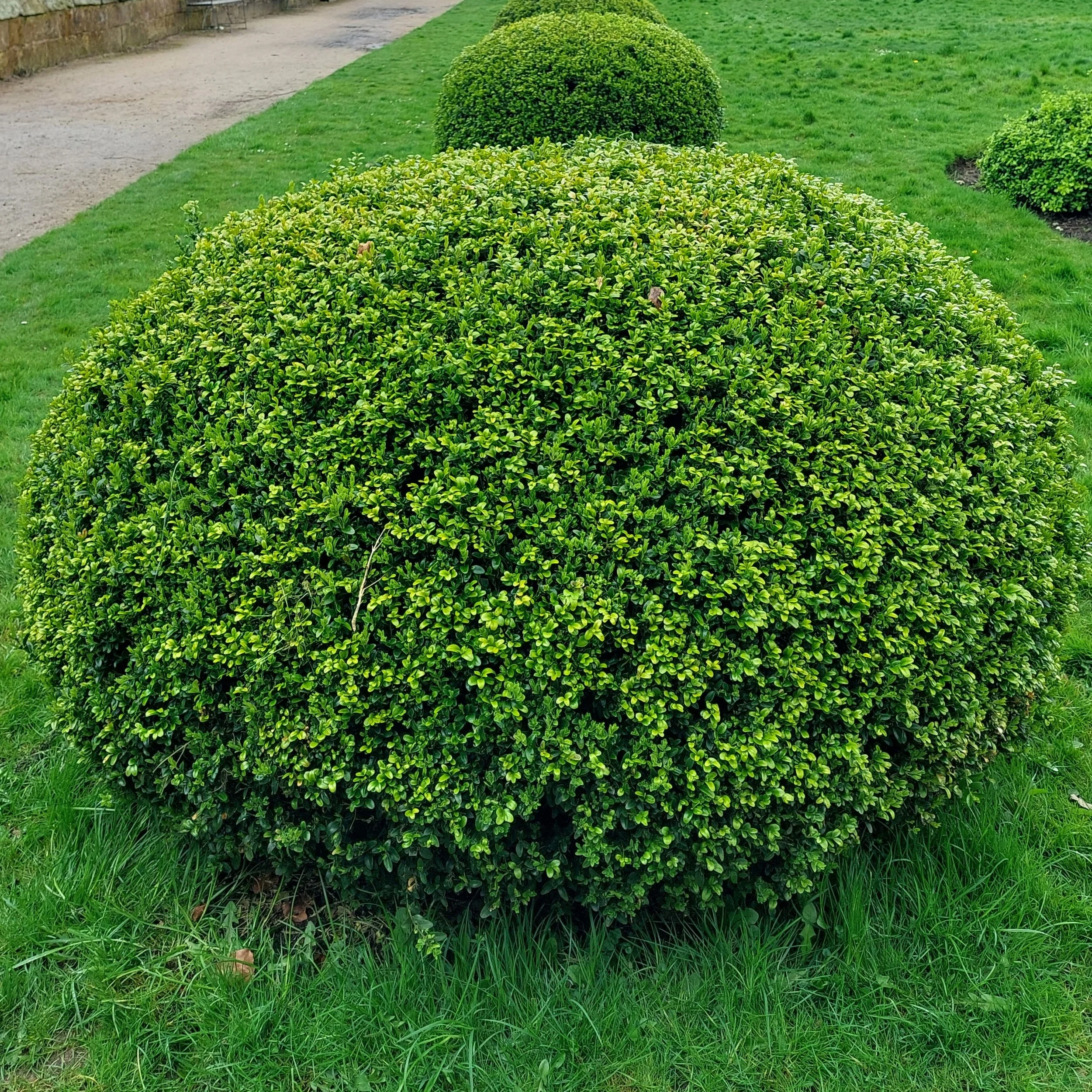 Georgian Manor House, Endmoor