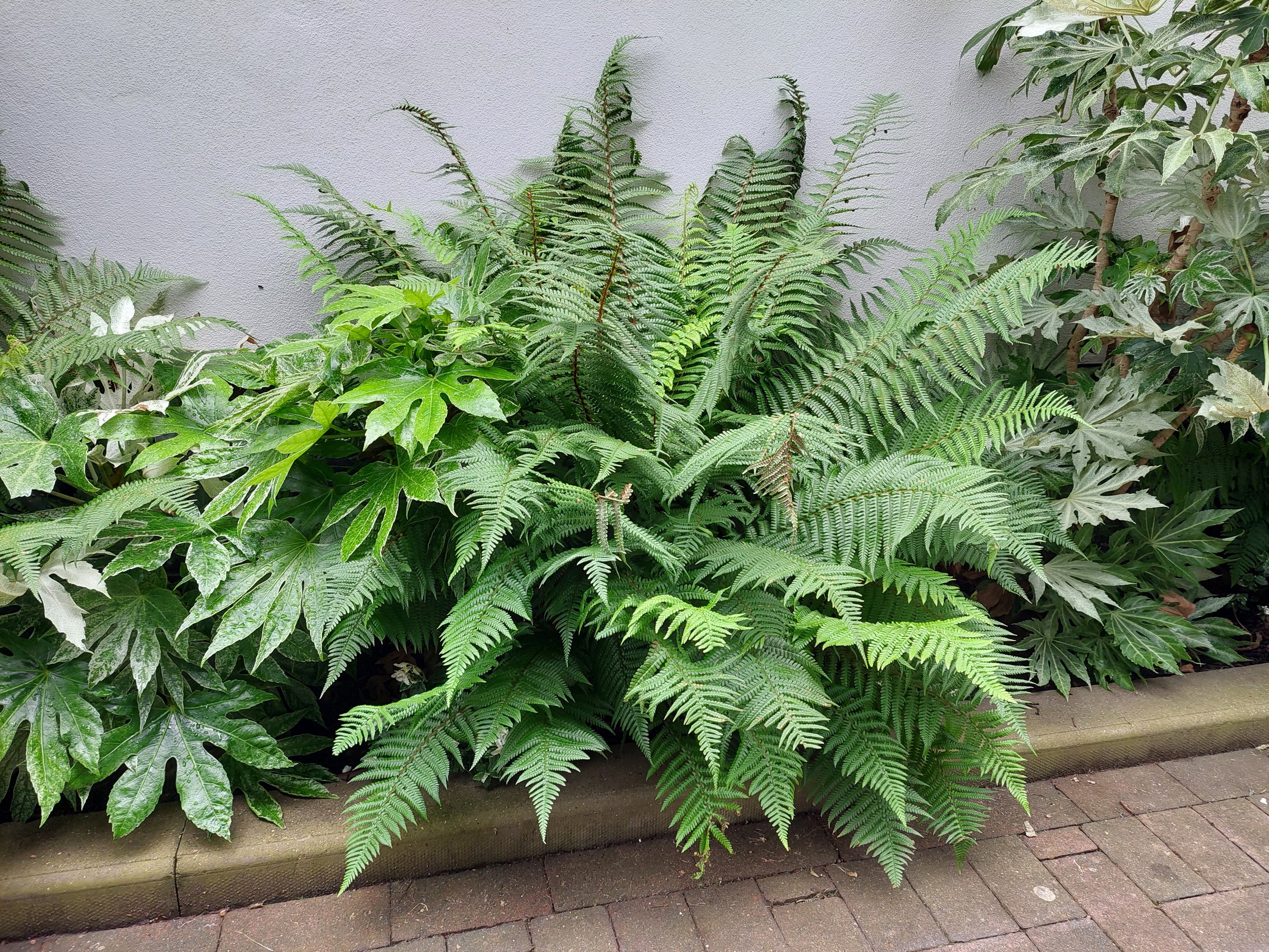 20240709_103000.jpg