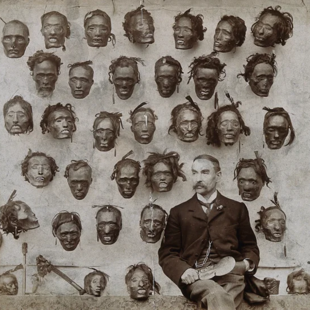 History & Heritage — Unruly beauty