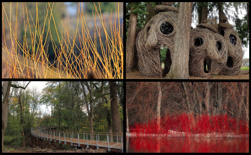ORENCO Elementary Professional Development