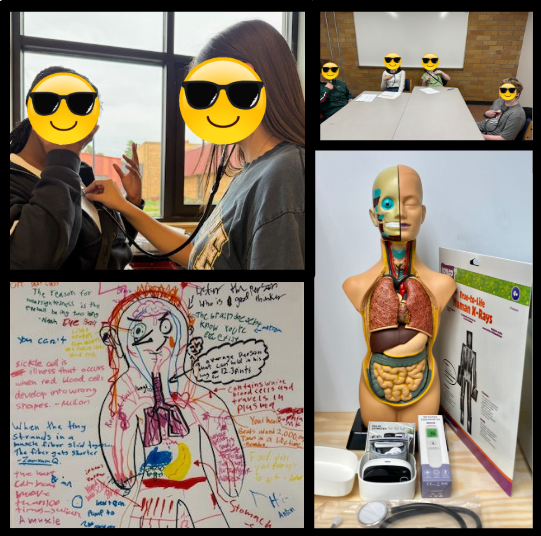 Five Oaks MS 6th Grade Science Playground