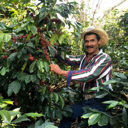 guatemala, huehuetenango3.png