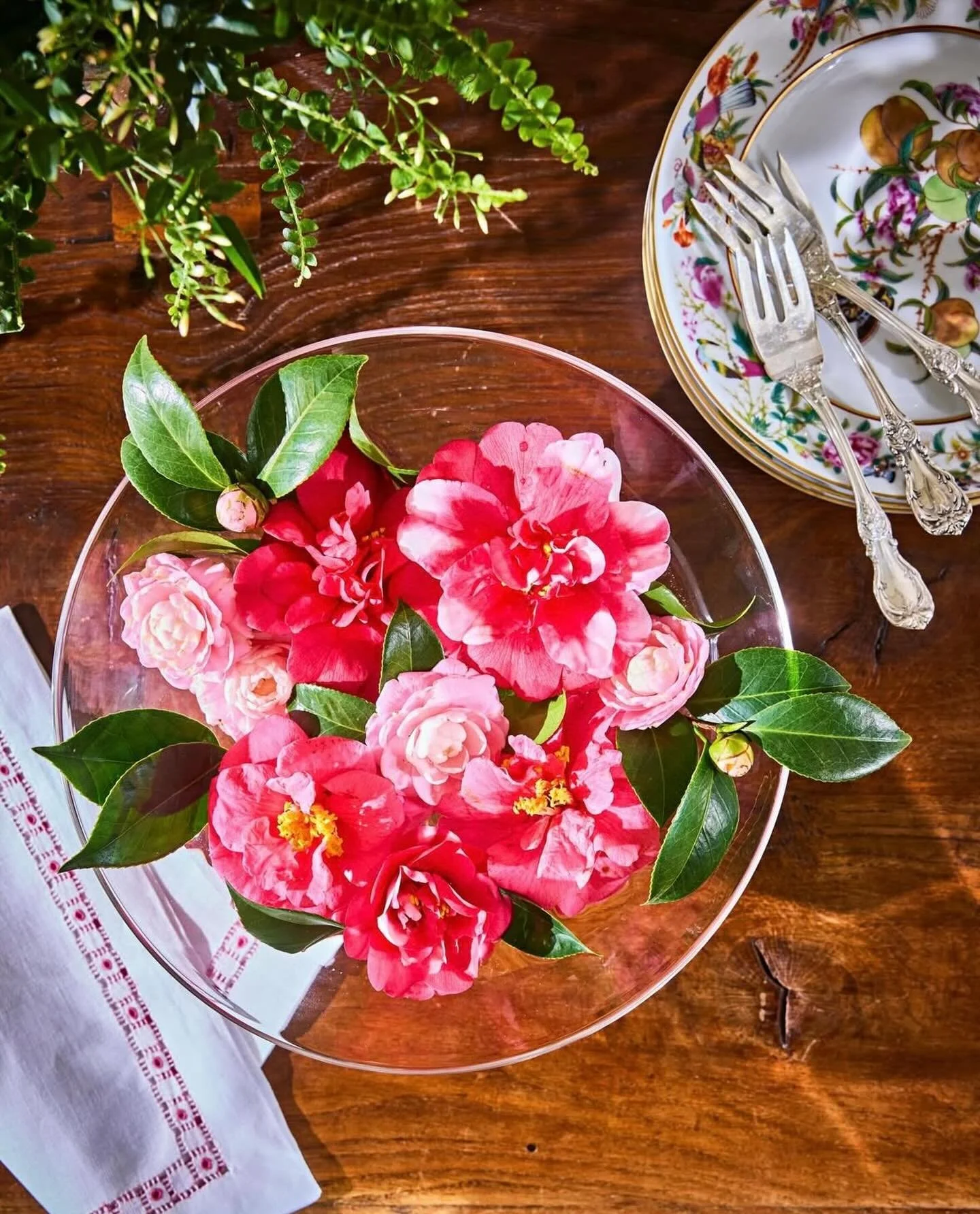 Dreary days call for a little bright moment! Loved styling these camellias for @southernlivingmag to add some cheer and fight the winter blues. #winterblooms #propstyling 
📸 @robbiecaponetto