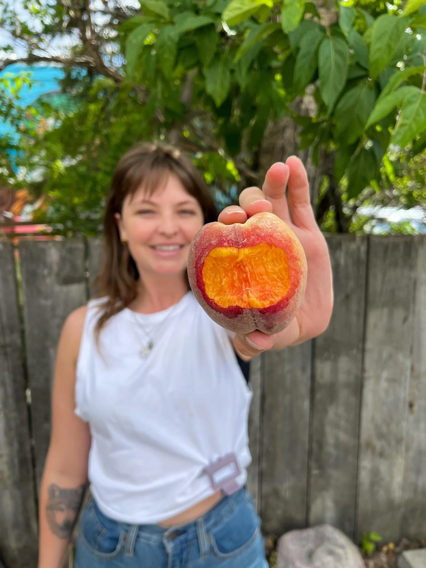 We&rsquo;re so excited to bring you fresh new products weekly. 
This week new in the market, we got fresh peaches and potatoes from @bcfruittruck but also exciting new meats from @rge_rd ! Can&rsquo;t forget about samosa&rsquo;s from @minikitchen.ca 