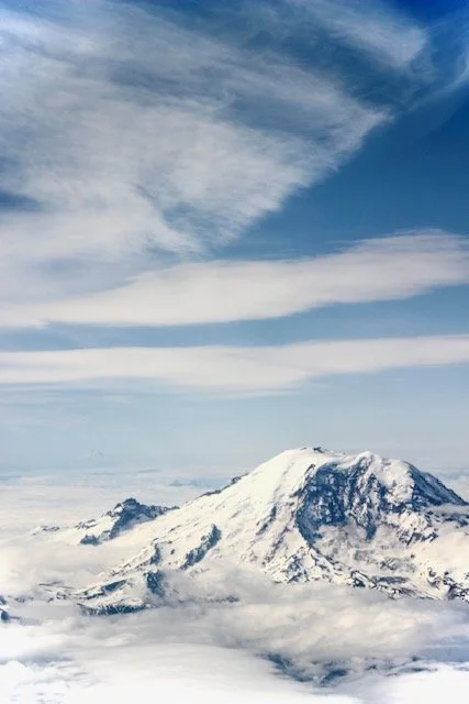 IMG_2387.jpg