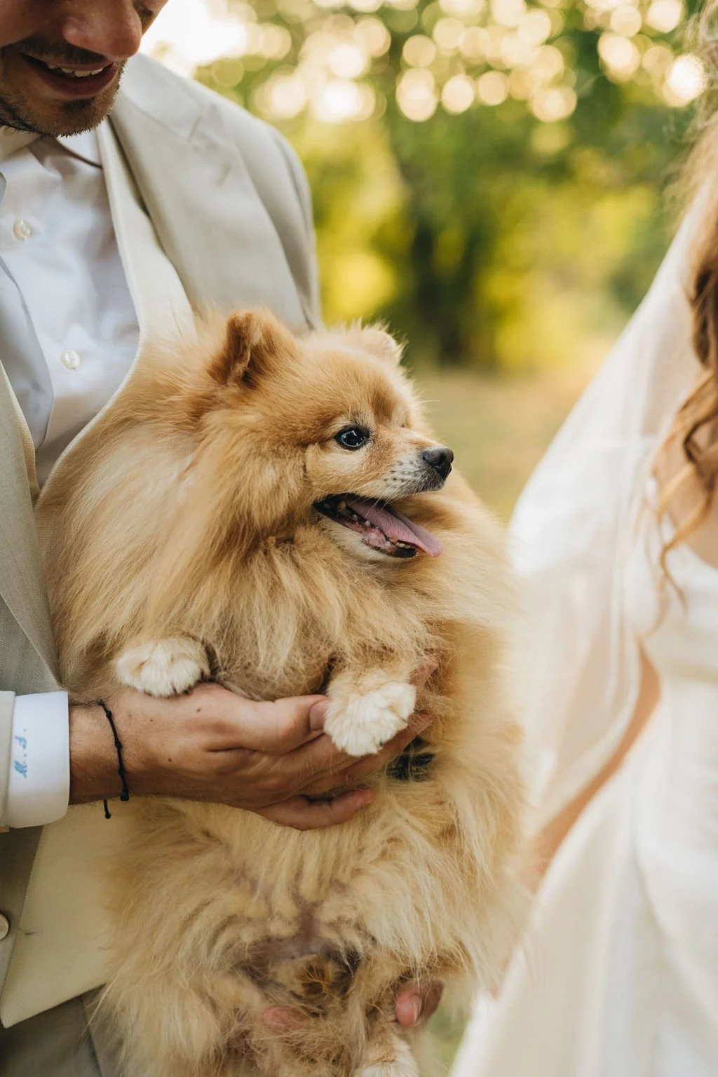 newlyweds-and-dog-wedding-photos-istria (1).jpg