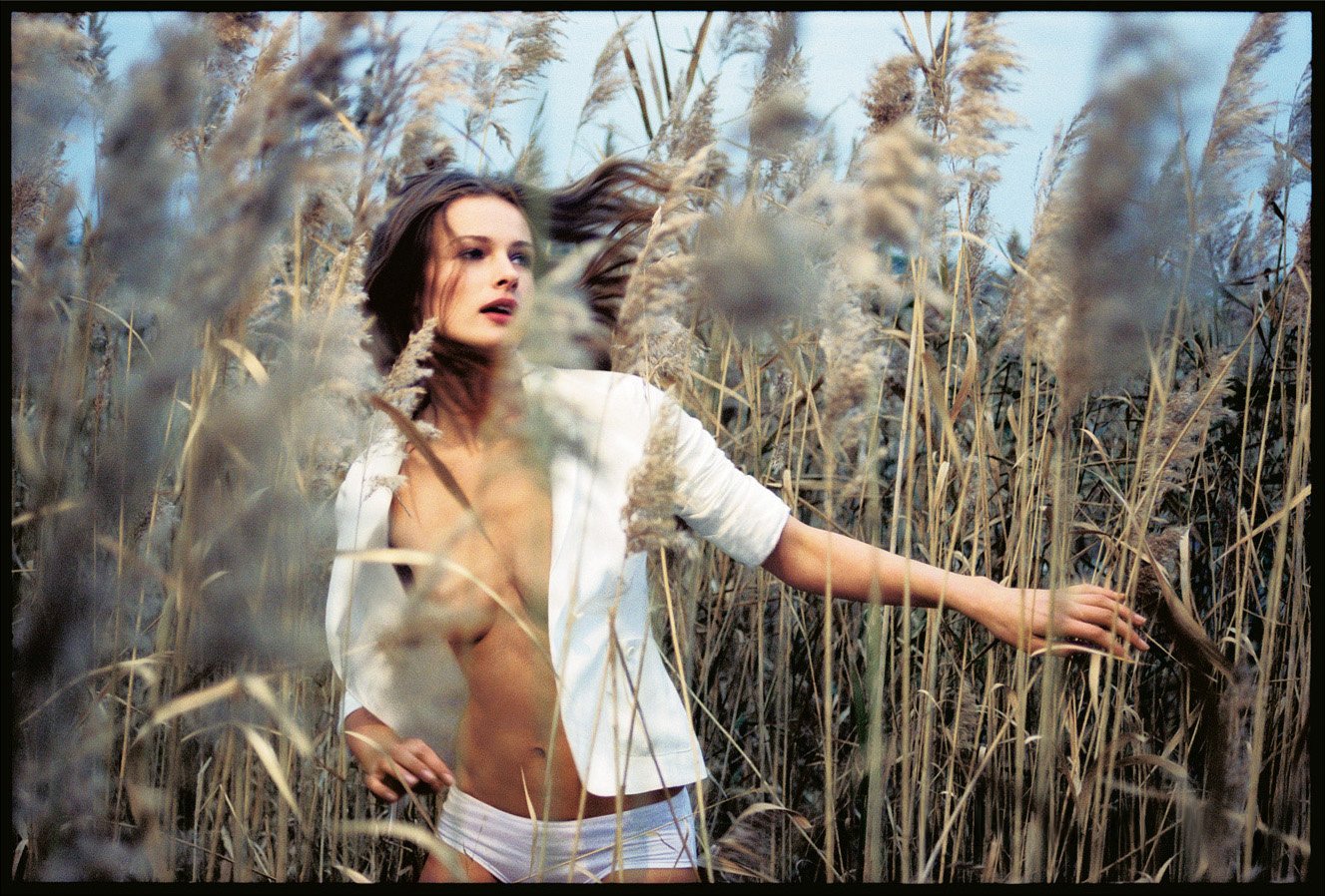 Theory_tallGrass_1500px_a.jpg