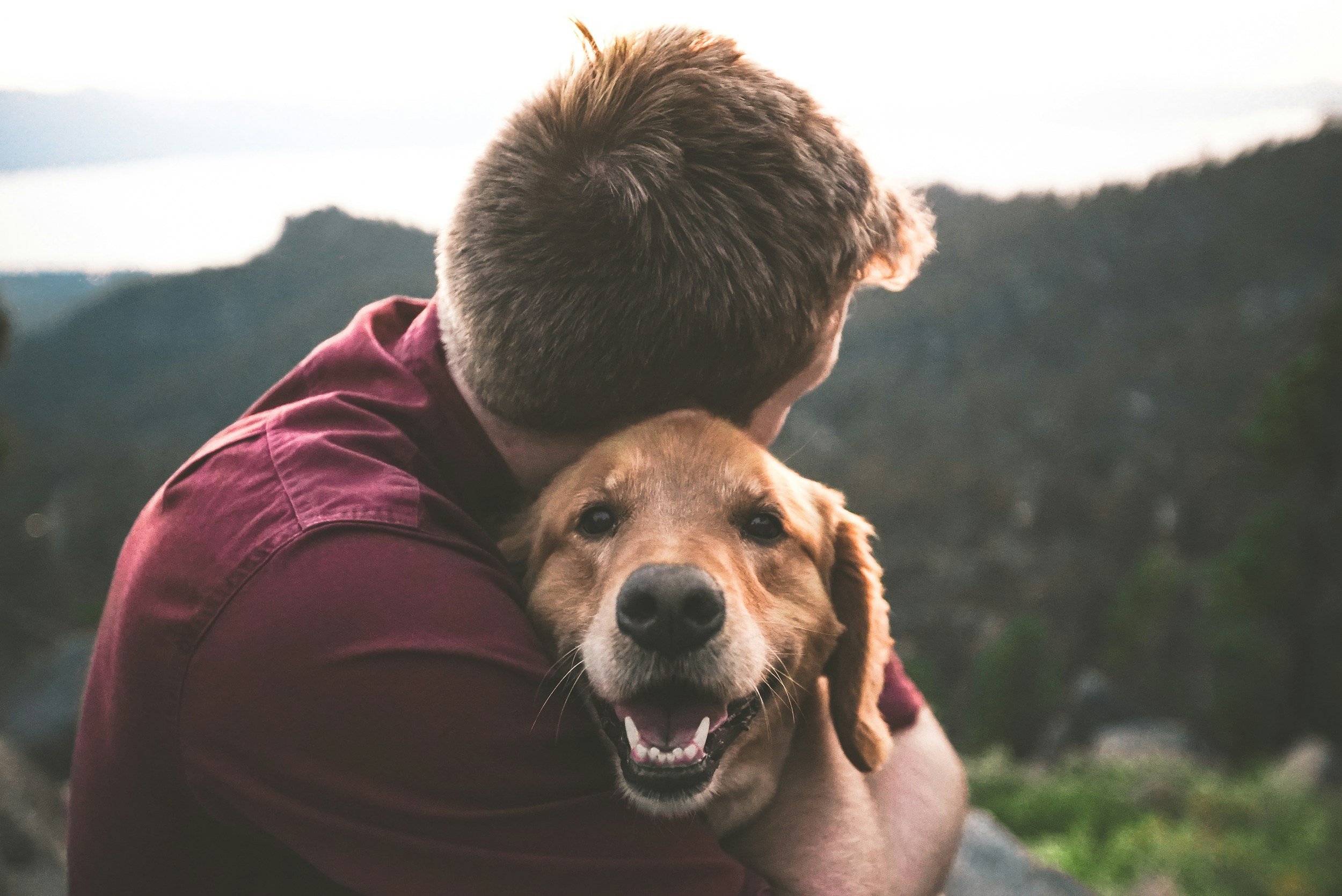 Gentle Paws Grief Support (Group)