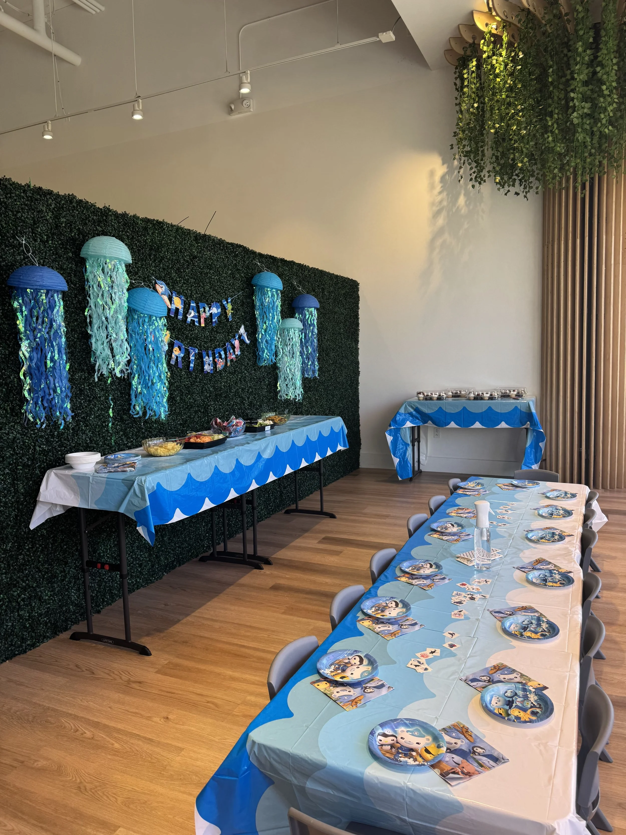 Kidplex Party Octonauts theme.jpg