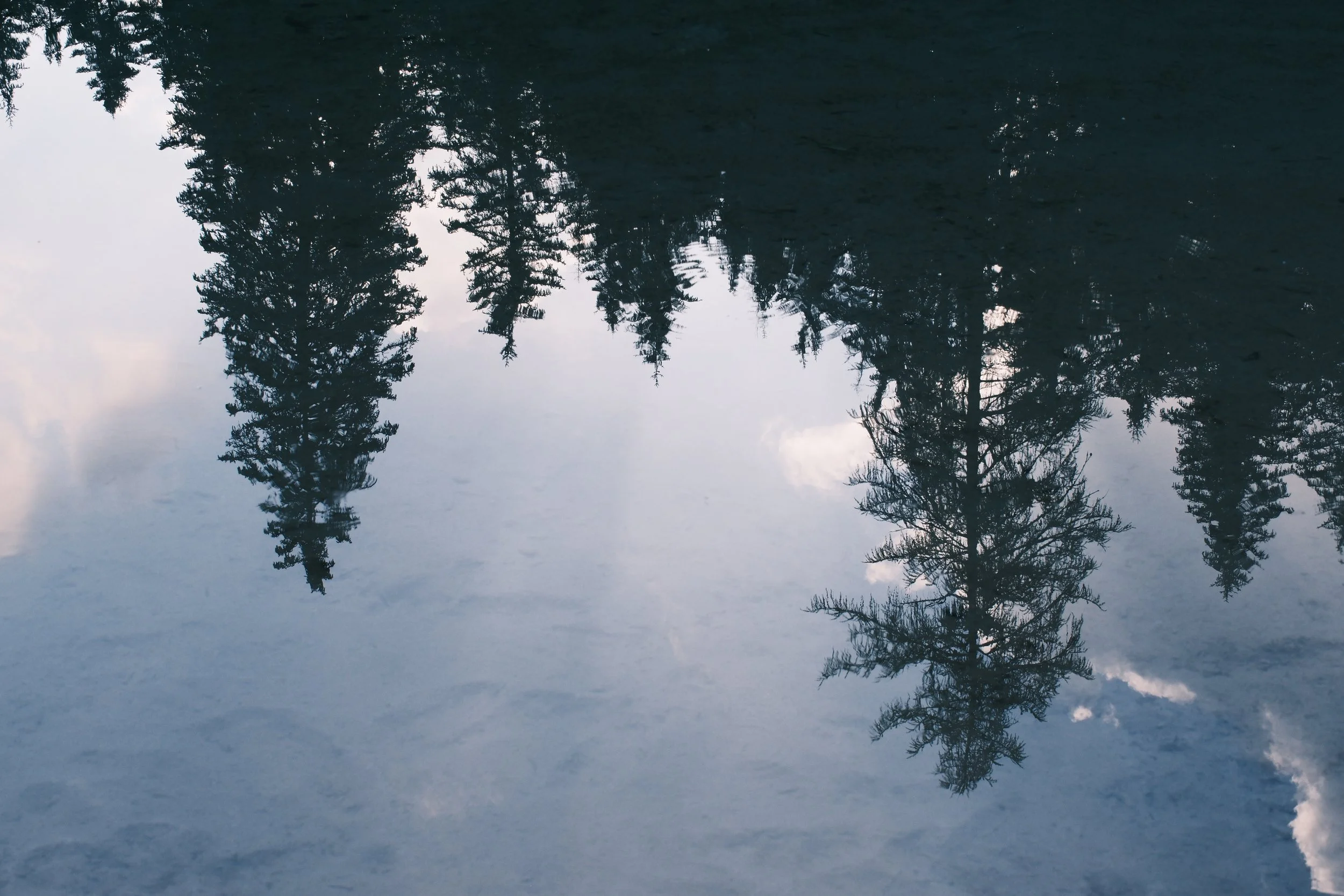 Upside-down reflection of spruce trees and clouds in the still water of Lago di Braies, Dolomites, Italy, by Zyan Sachs