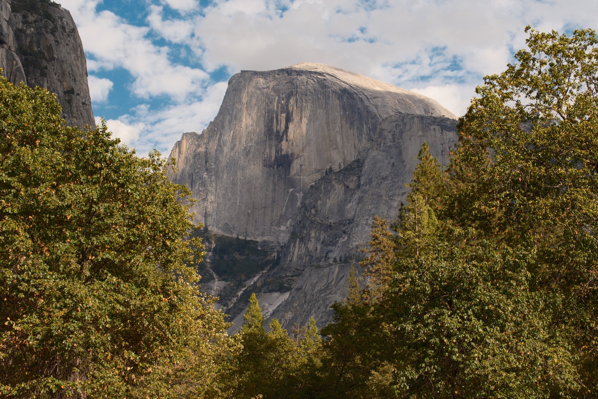 Half Dome framed by autumn trees under scattered clouds, Yosemite National Park, California, by Zyan Sachs
