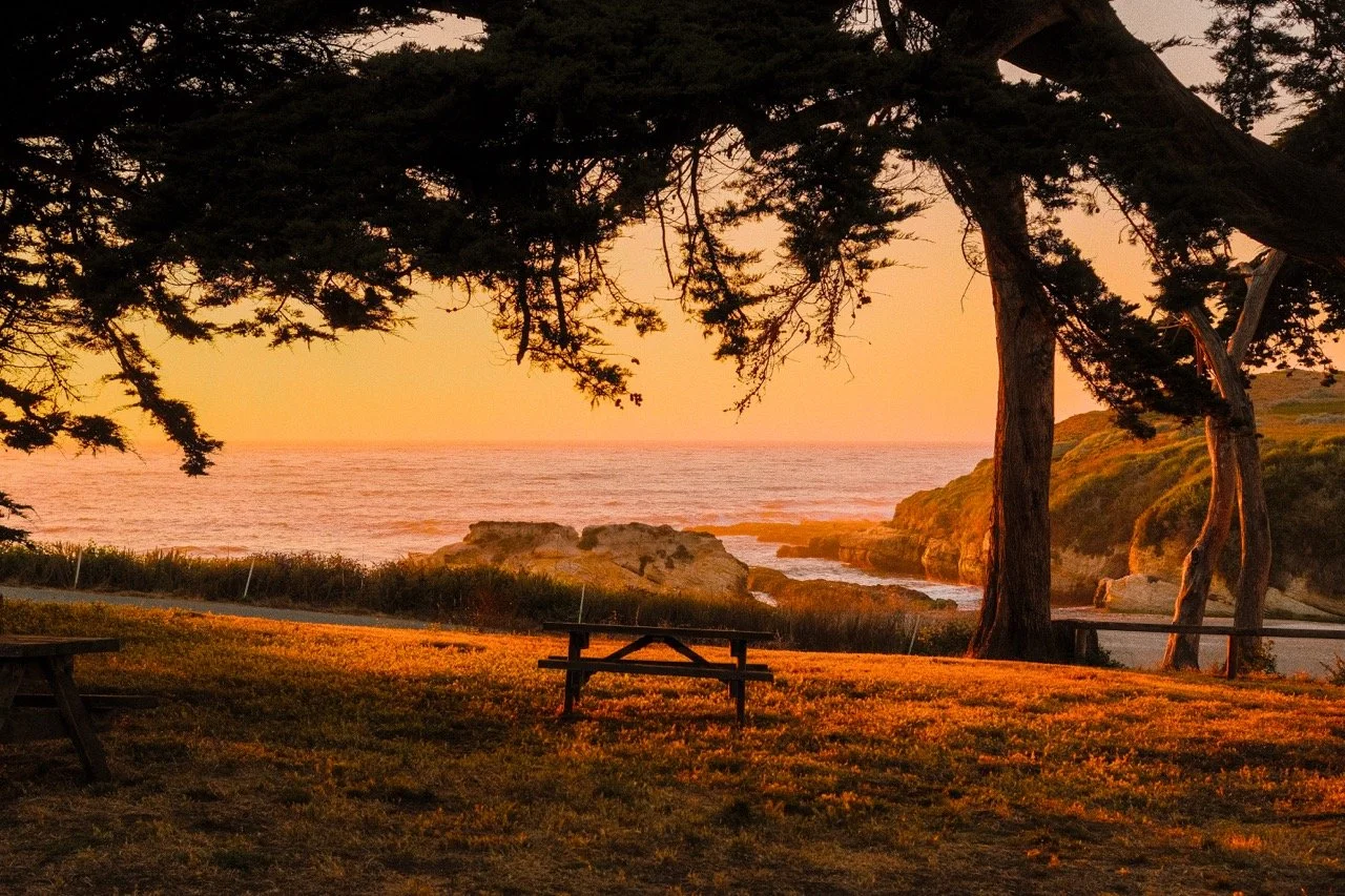 Cypress tree framing a picnic bench and the ocean at sunset, Los Osos, California - fine art print by Zyan Sachs