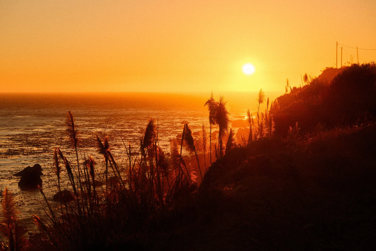 Sun setting over the Pacific behind coastal grasses, Big Sur, California - fine art print by Zyan Sachs