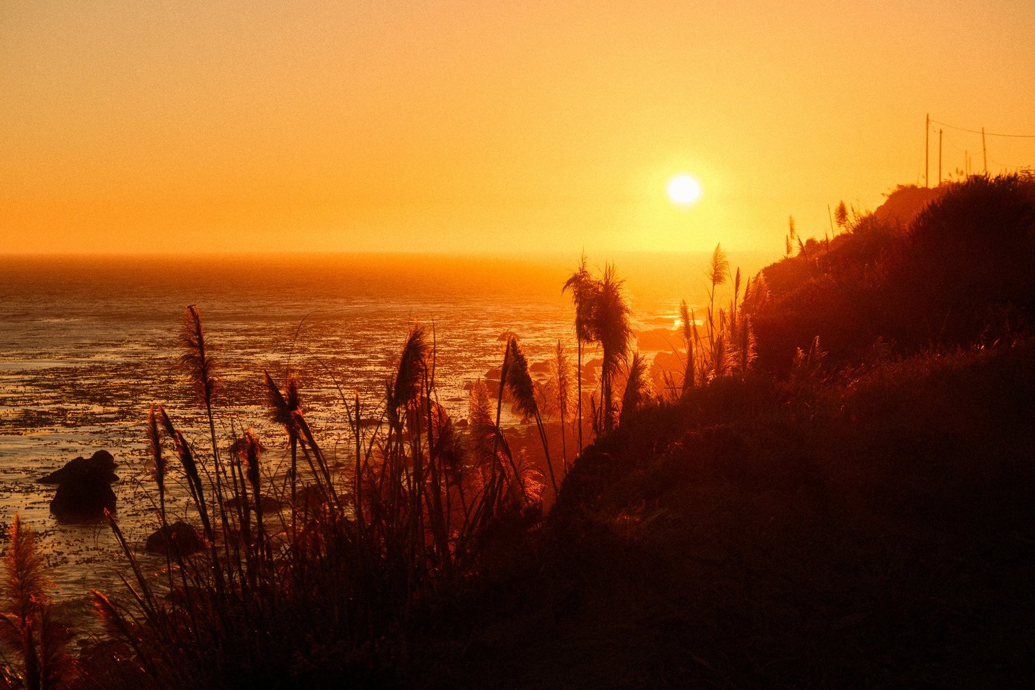 Big Sur, California - fine art print by Zyan Sachs