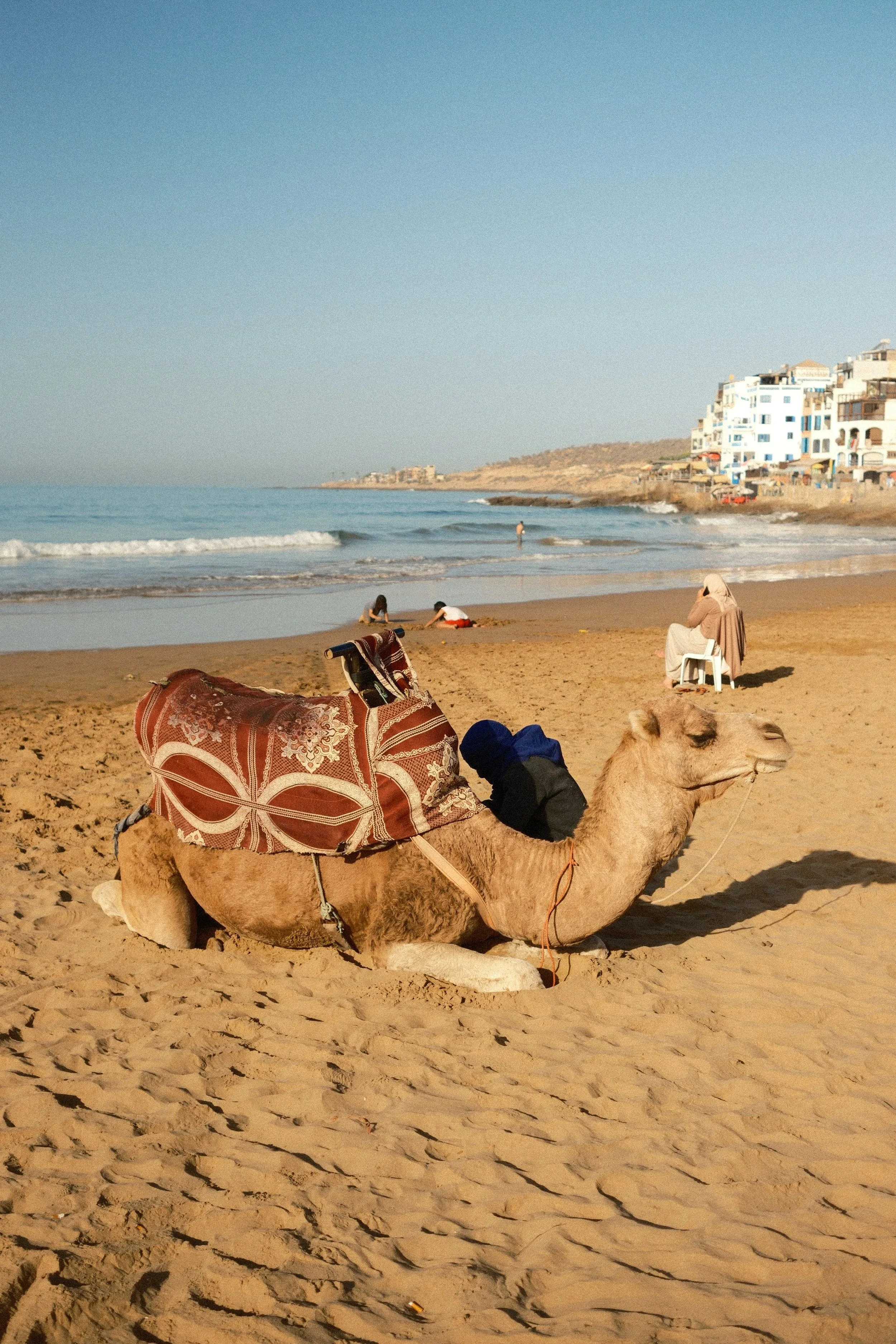 Camel lying on the sand with surfers and the sea behind, Taghazout, Morocco - fine art print by Zyan Sachs
