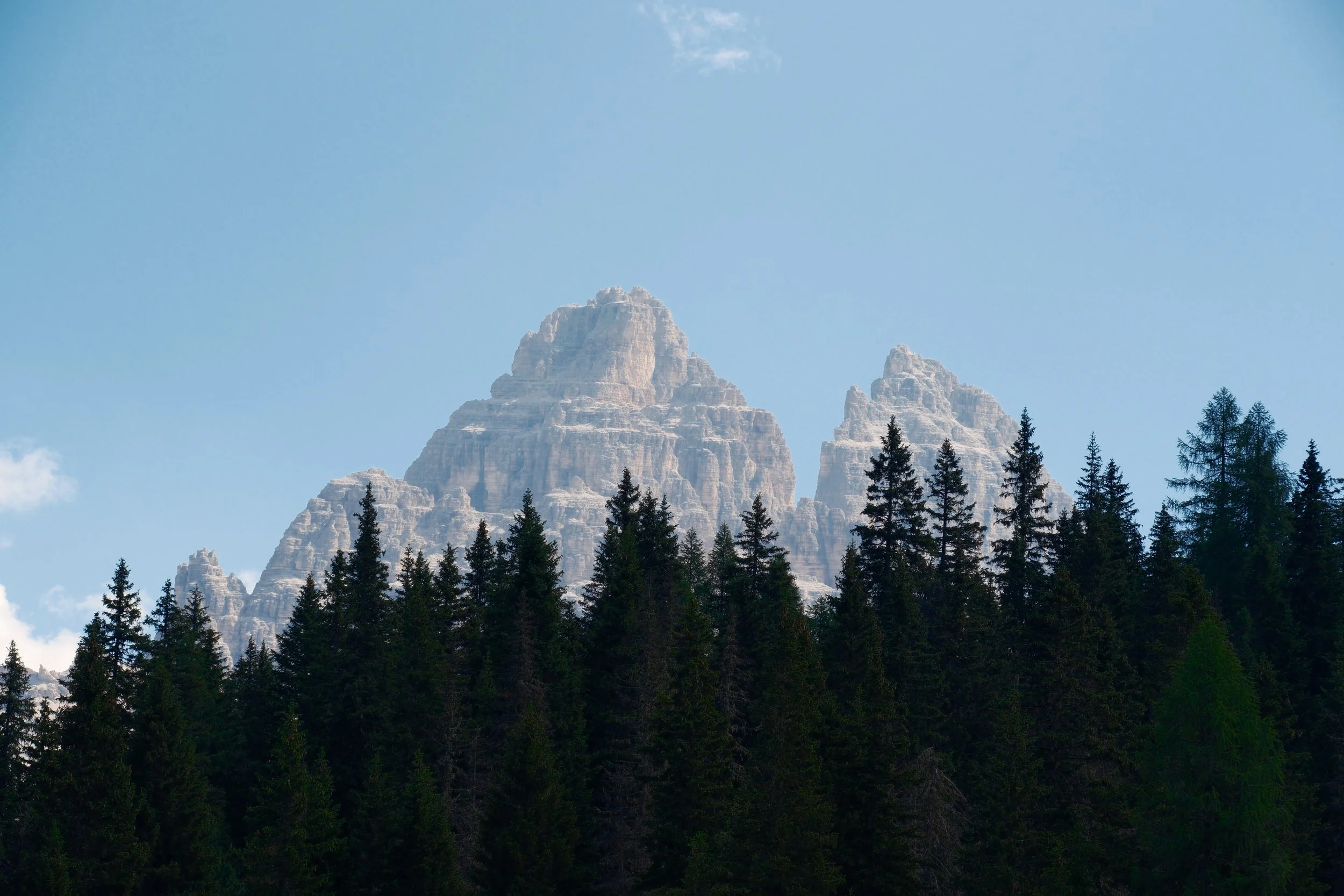 Pale peaks of the Tre Cime di Lavaredo rising above a dark spruce forest, Dolomites, Italy, by Zyan Sachs