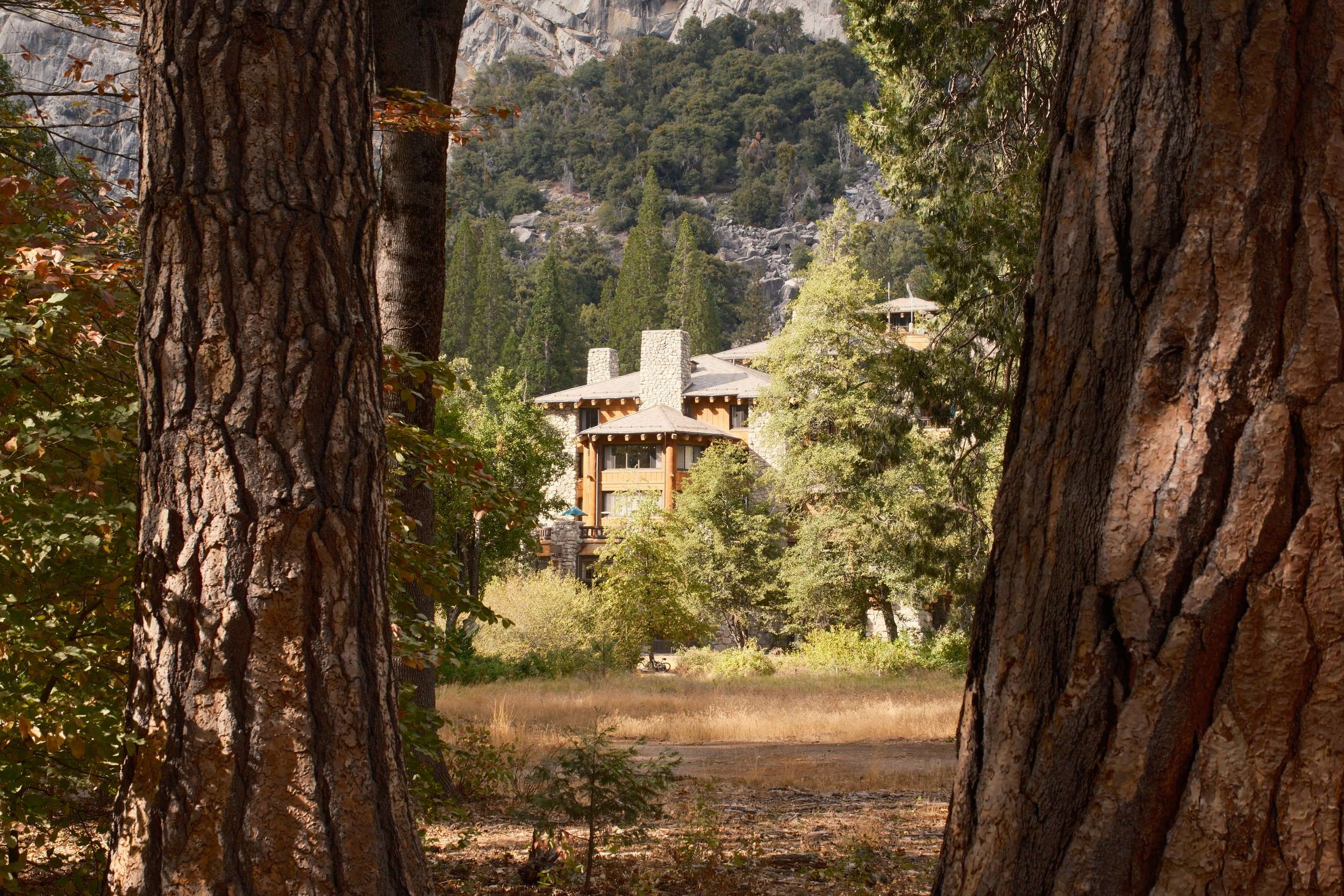 The Ahwahnee hotel framed between pine trunks below granite cliffs, Yosemite Valley, Yosemite National Park, California, by Zyan Sachs