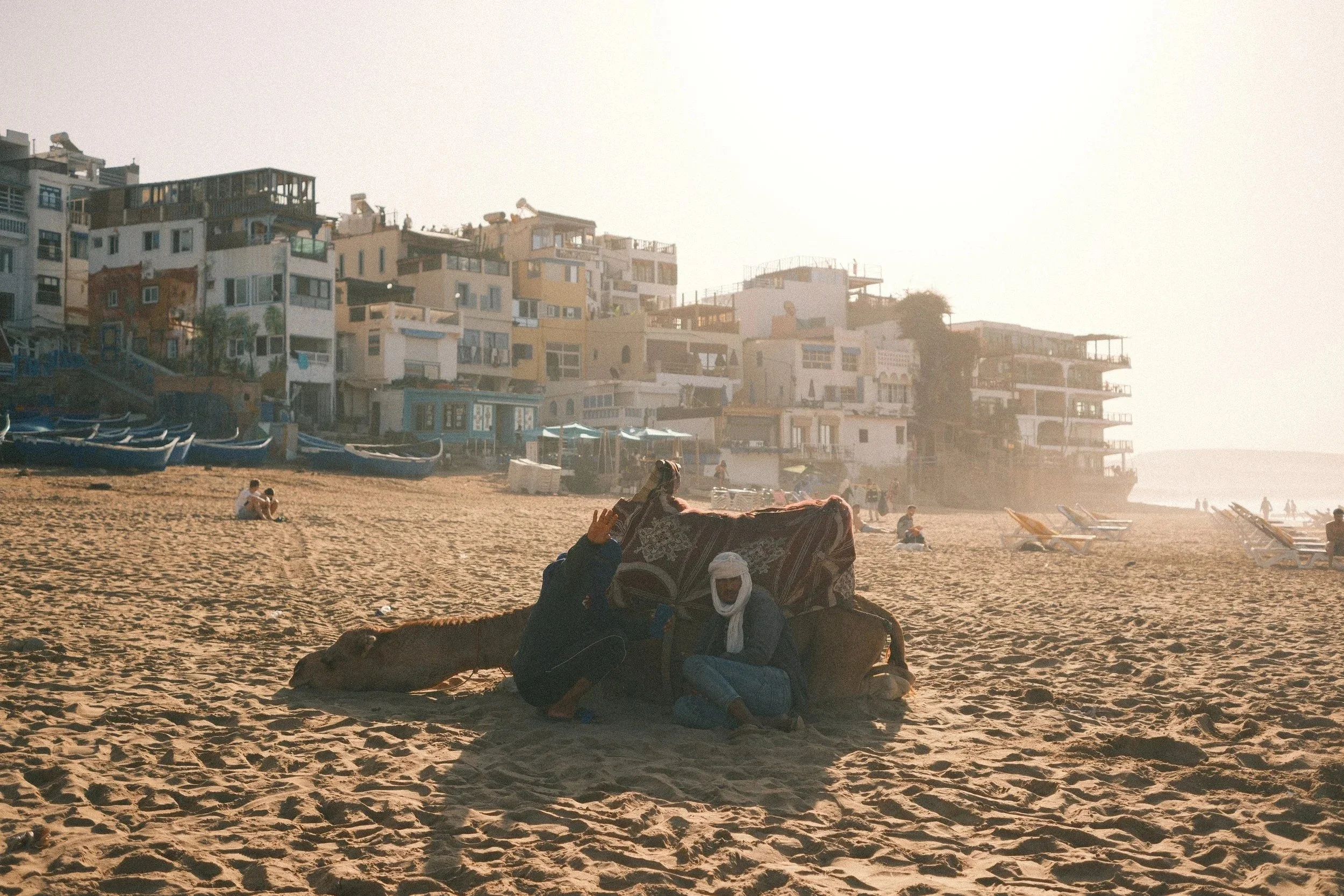 Resting camel on the beach below the hillside town in morning haze, Taghazout, Morocco - fine art print by Zyan Sachs