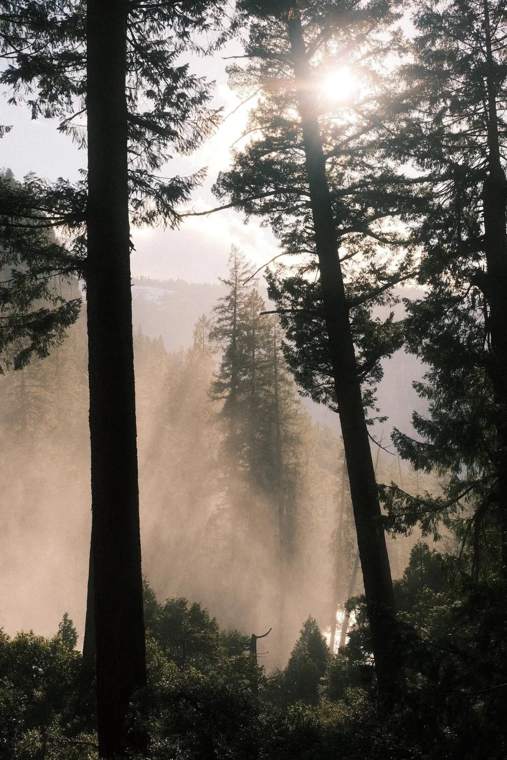 Yosemite, California