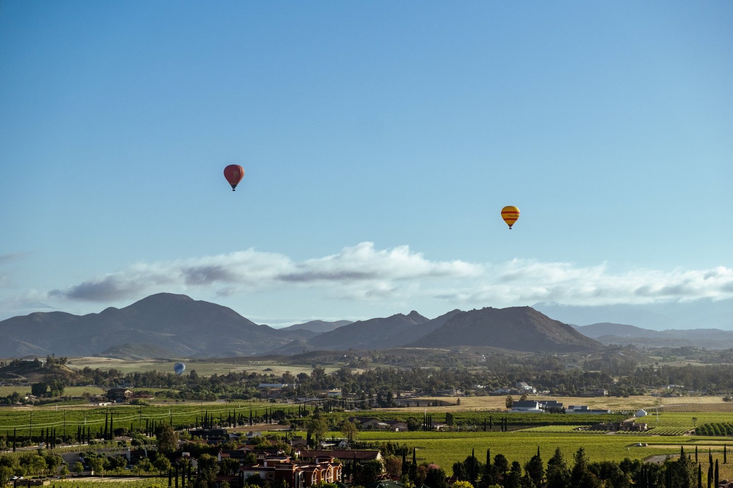 Hot air balloons over the Temecula Valley, California - fine art print by Zyan Sachs