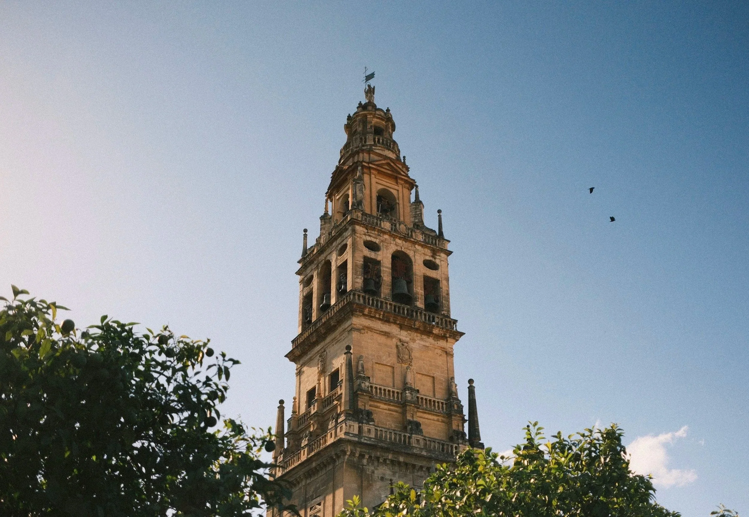 cordoba-mezquita-bell-tower-orange-trees-andalucia-spain-zyan-sachs.jpg