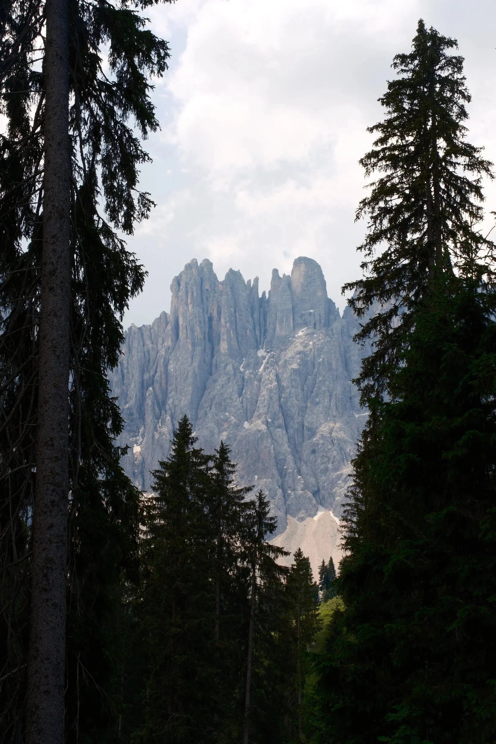 Latemar spires framed by tall spruce trees in the forest near Lago di Carezza, Dolomites, Italy, by Zyan Sachs