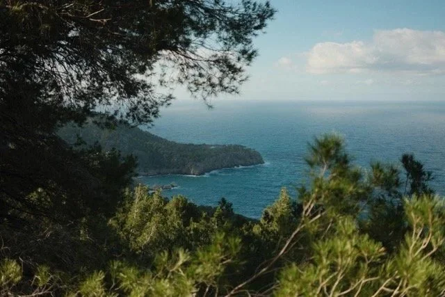 mallorca-pines-turquoise-cove-zyan-sachs.jpg