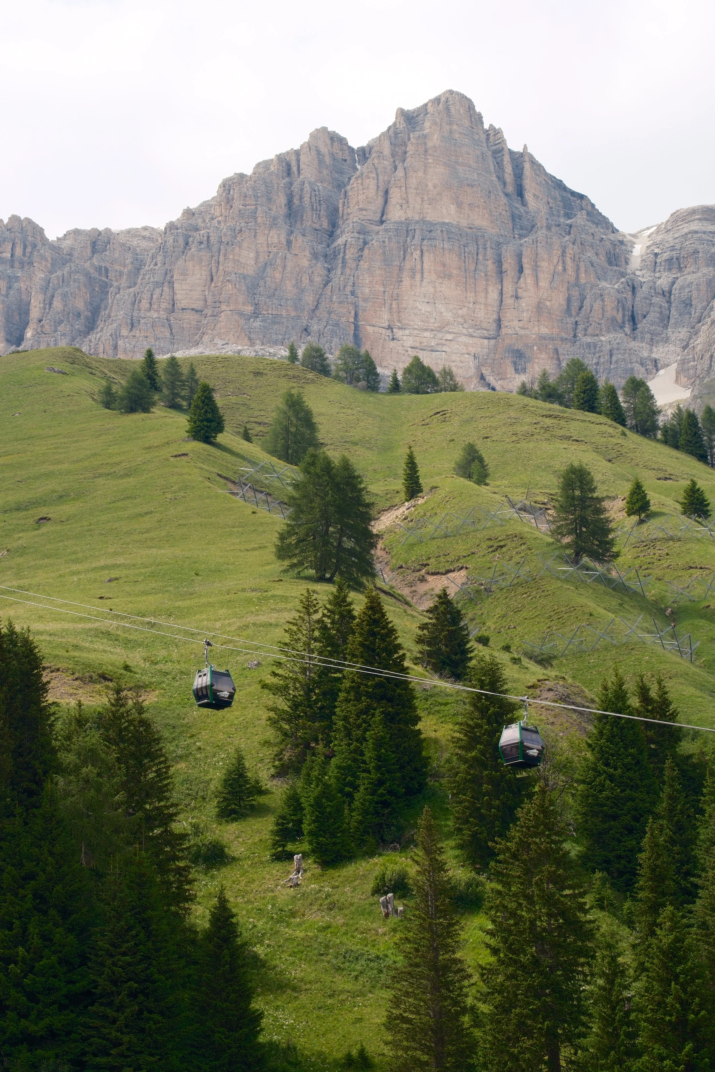 Green alpine meadow and pines below a rocky Dolomite peak, by Zyan Sachs
