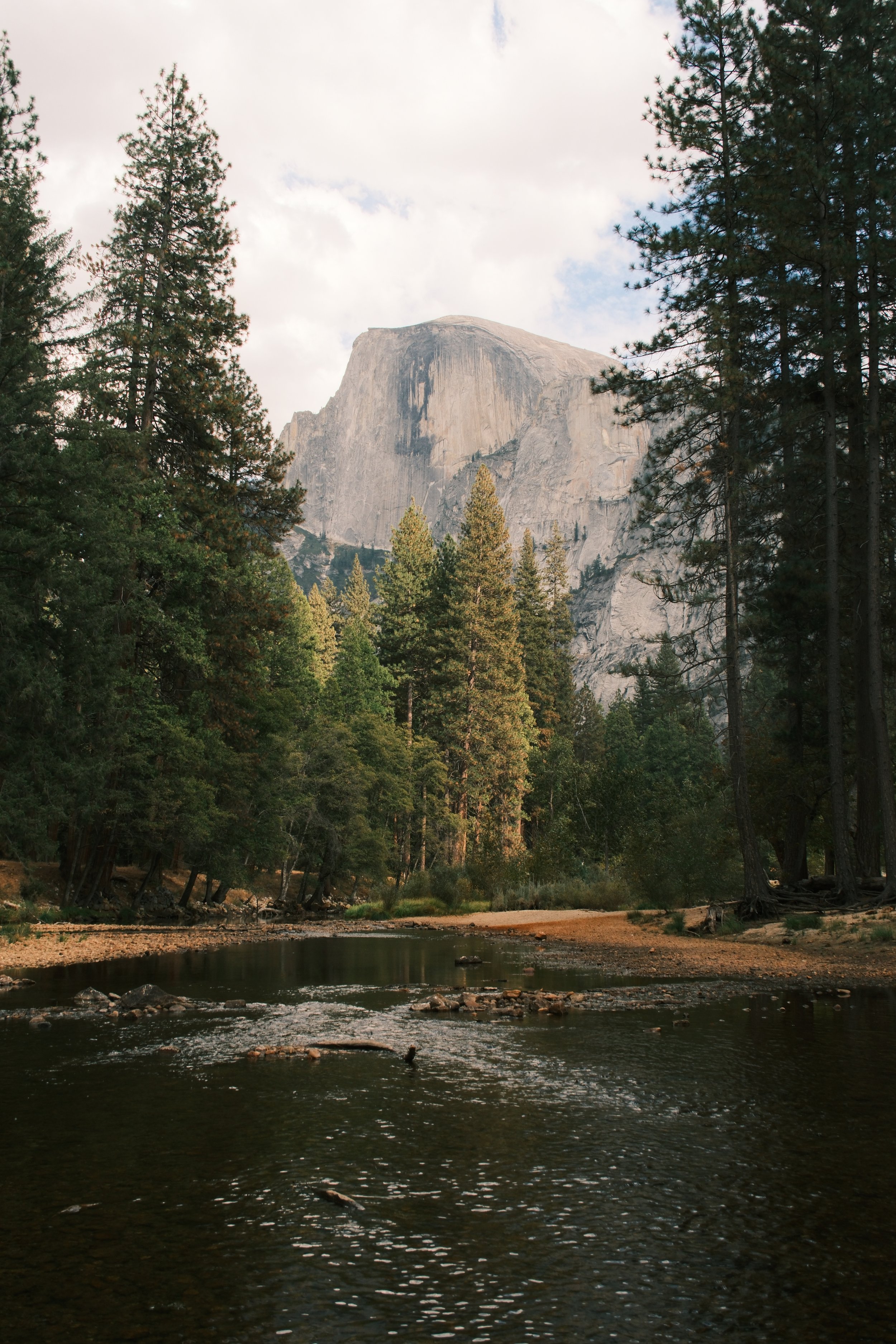 Half Dome rising above the Merced River and pines, Yosemite Valley, Yosemite National Park, California, by Zyan Sachs