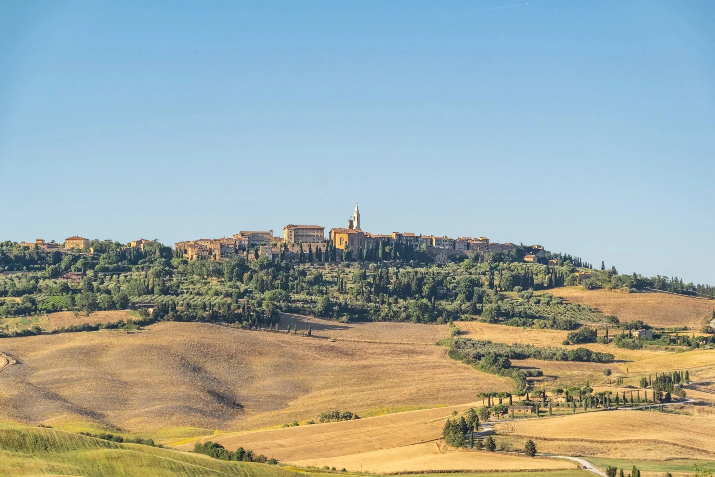 Golden fields and a winding cypress road below Pienza near Agriturismo Selvoli, Val d'Orcia, Tuscany - hospitality photography by Zyan Sachs