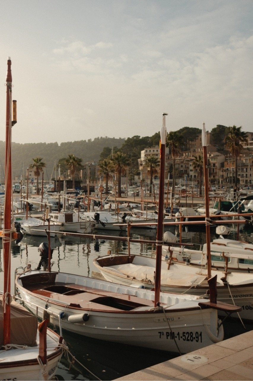 Fishing boats moored in the harbor below the mountains, Port de Sóller, Mallorca, Spain, by Zyan Sachs