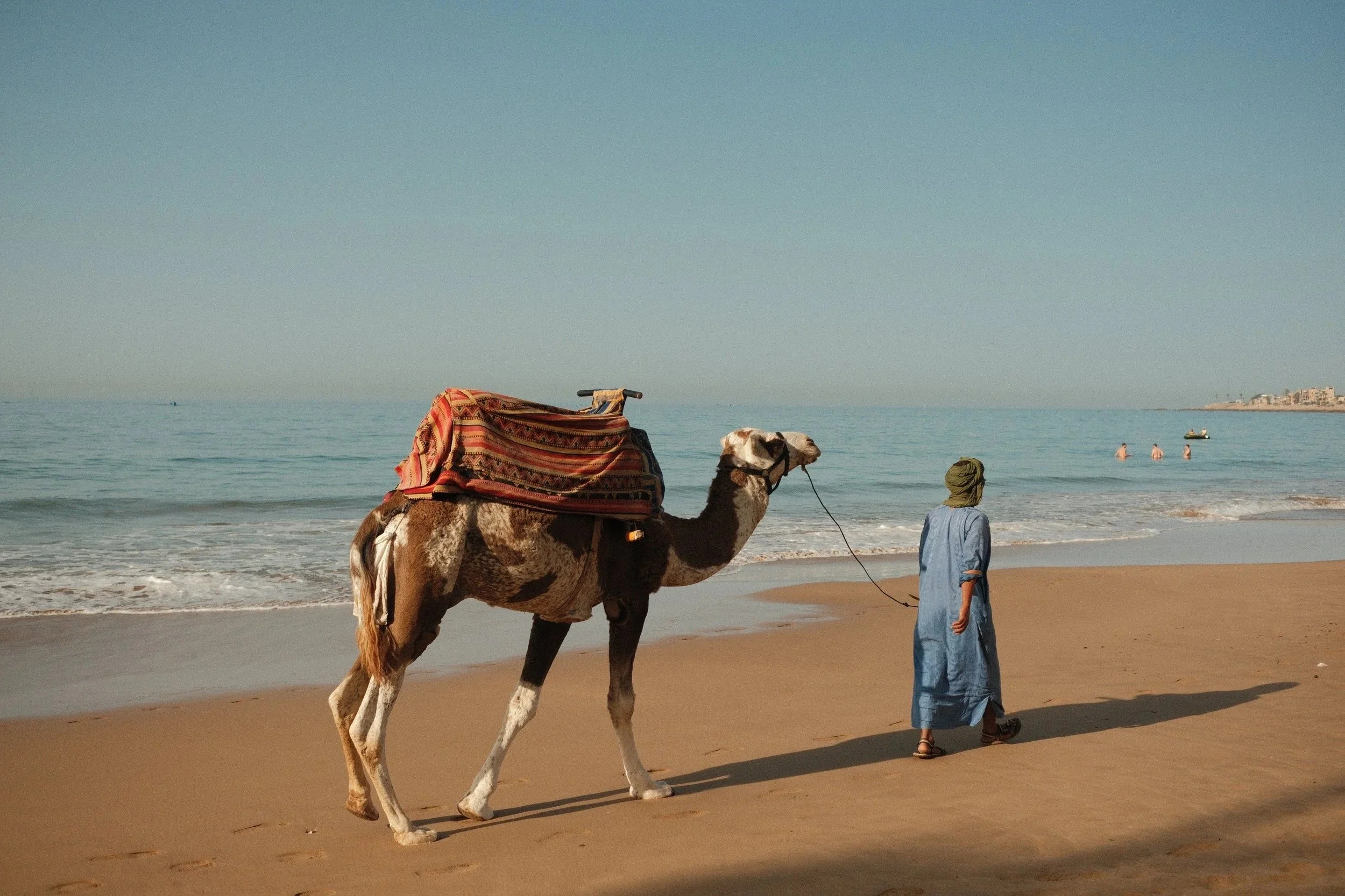 Camel wearing a red saddle and its handler on the beach at sunrise, Taghazout, Morocco - fine art print by Zyan Sachs