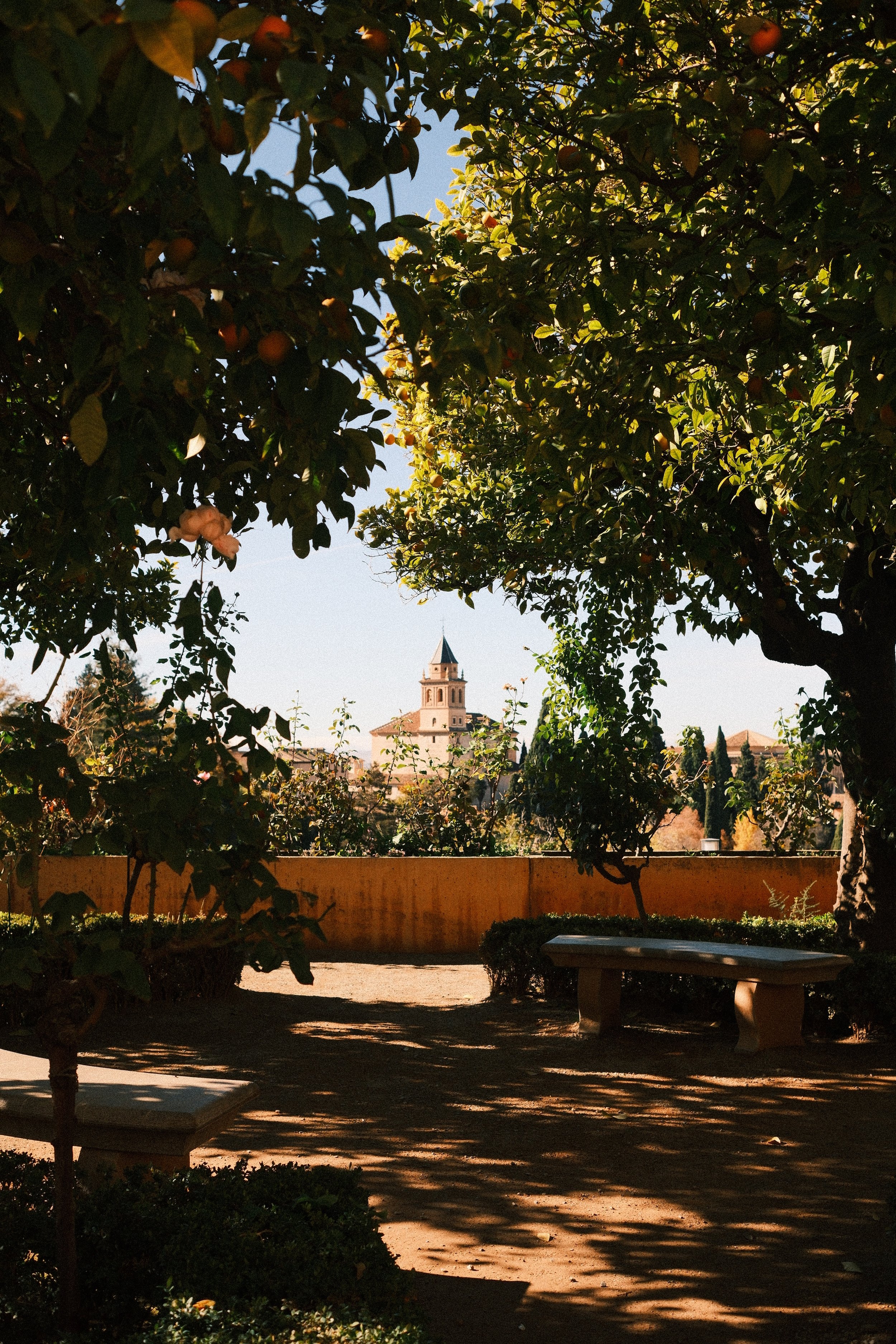Shaded garden terrace framed by trees with a church tower beyond, Granada, Andalucía, Spain, by Zyan Sachs
