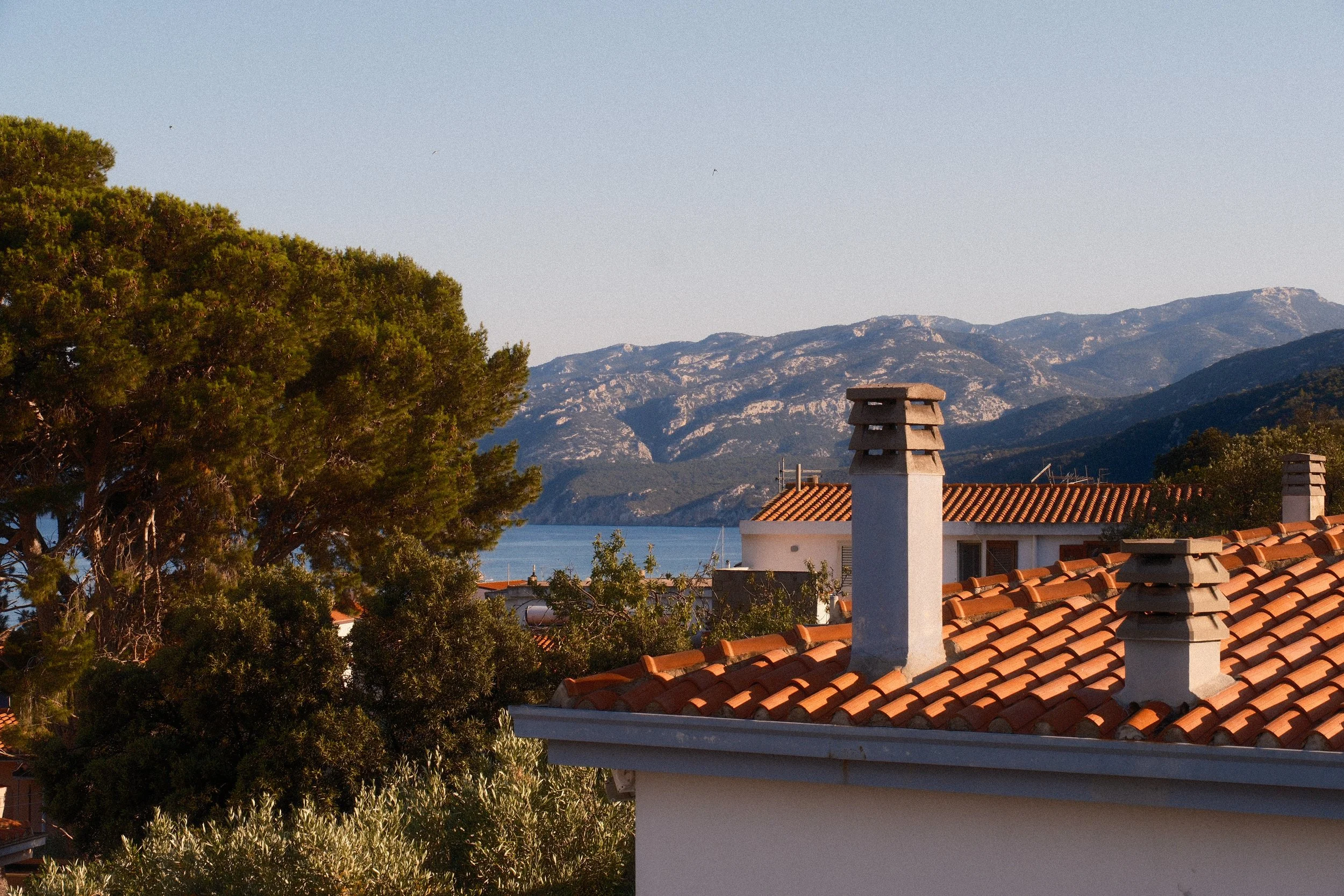 Terracotta rooftops and pines with mountains and the sea beyond, the view from Casa Stefano, Sardinia, by Zyan Sachs