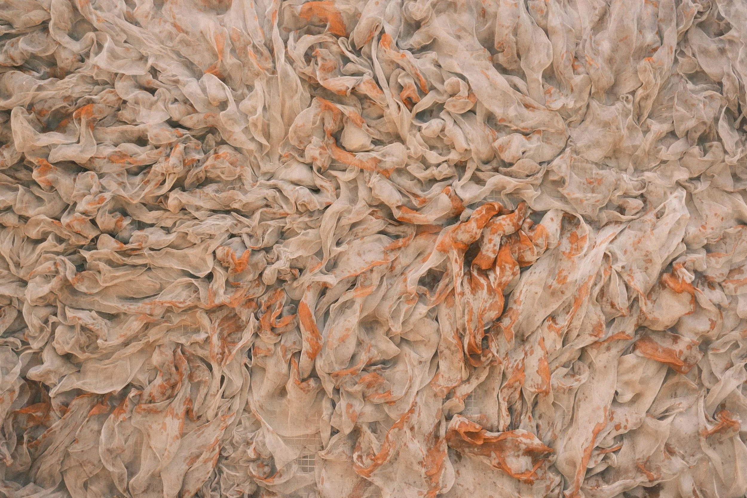 Close-up of soft tufted texture in warm cream and peach tones, Spain - fine art print by Zyan Sachs