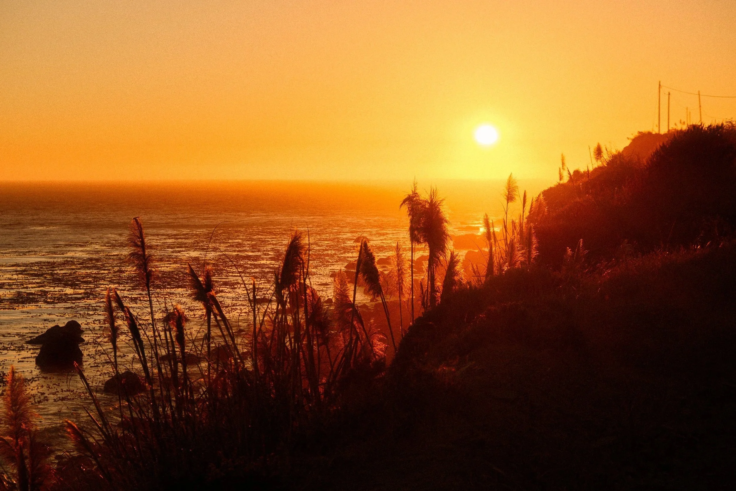 big-sur-pacific-sunset-coastal-grasses-fine-art-print-zyan-sachs.jpg