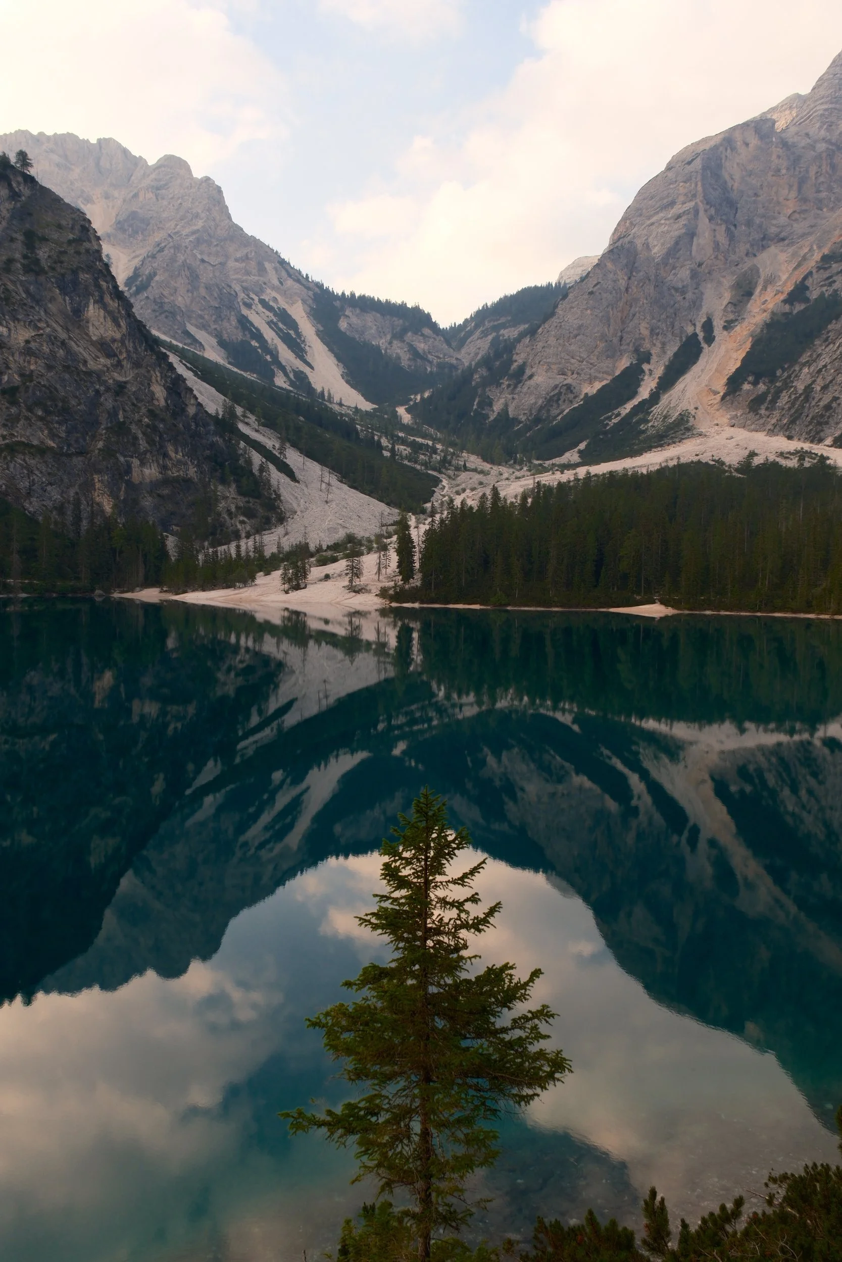 Lone pine in front of mountains mirrored in the emerald water of Lago di Braies, Dolomites, Italy, by Zyan Sachs