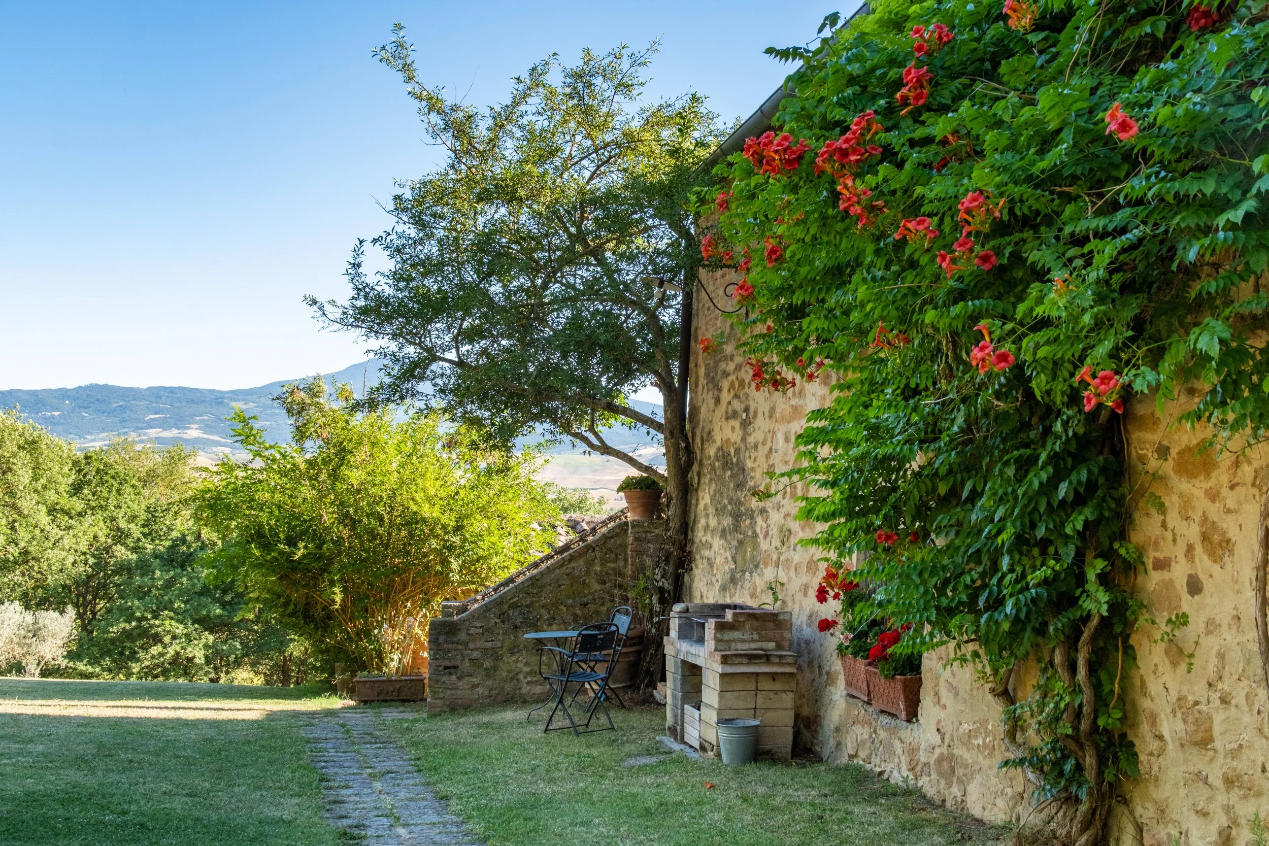 Red trumpet vine on the stone farmhouse wall at Agriturismo Selvoli, Val d'Orcia, Tuscany, by Zyan Sachs