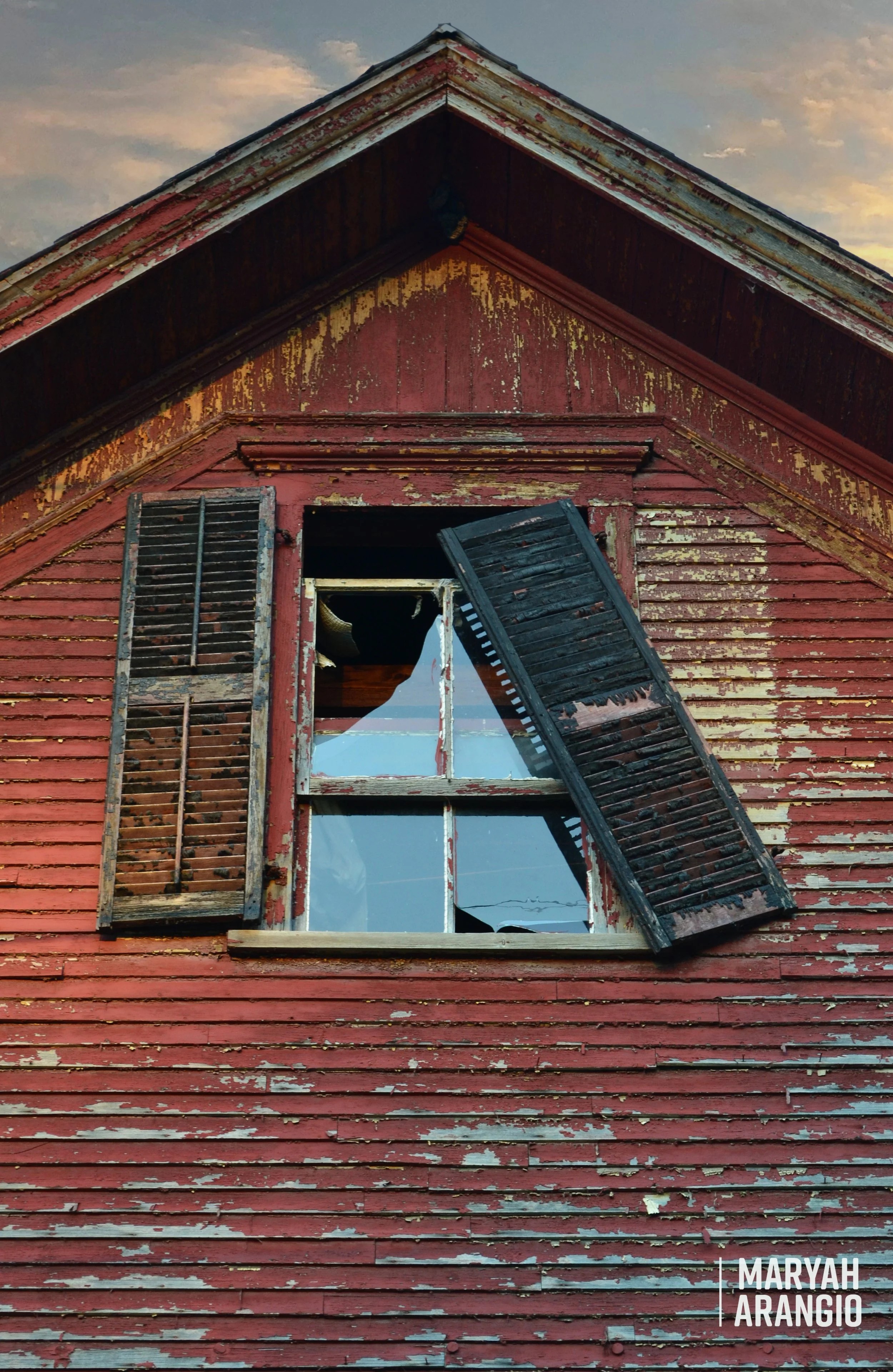 DSC_0267x.jpg