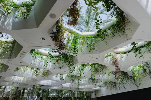 Designing for Life: The Power of Biophilic Interiors — Uncommon Architects