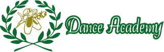 The Dance Academy